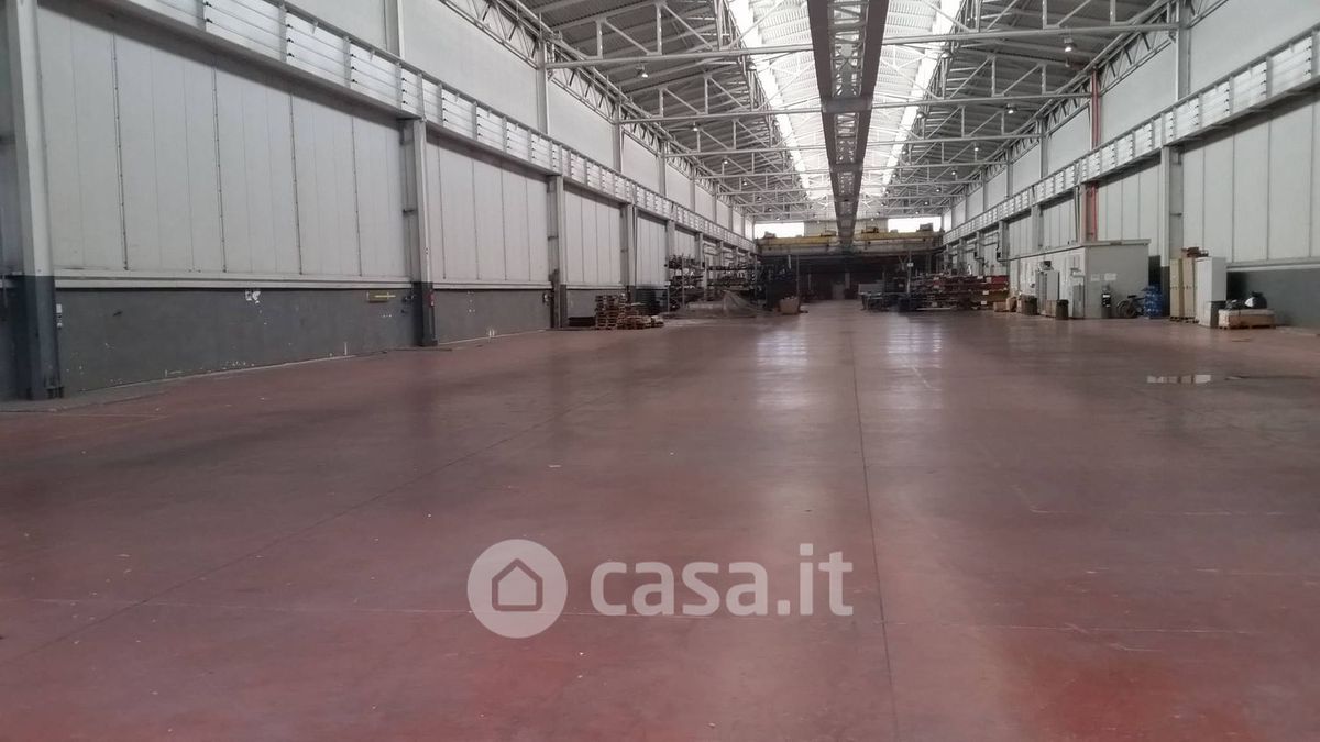 Capannone in affitto a Collesalvetti