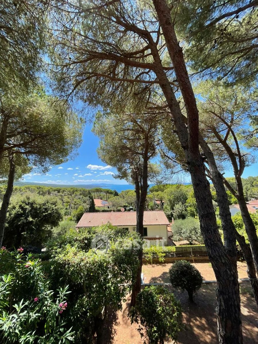 Casa – Livorno, Consiglio di Zona 6