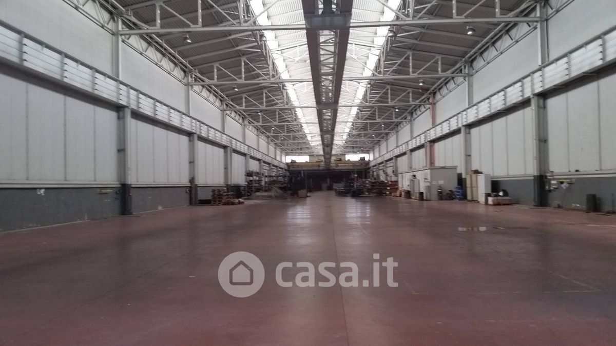 Capannone in affitto a Collesalvetti