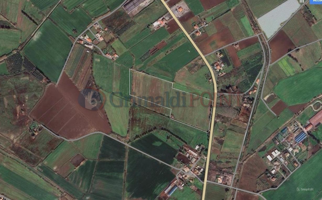 Terreno Agricolo in vendita a Cellole