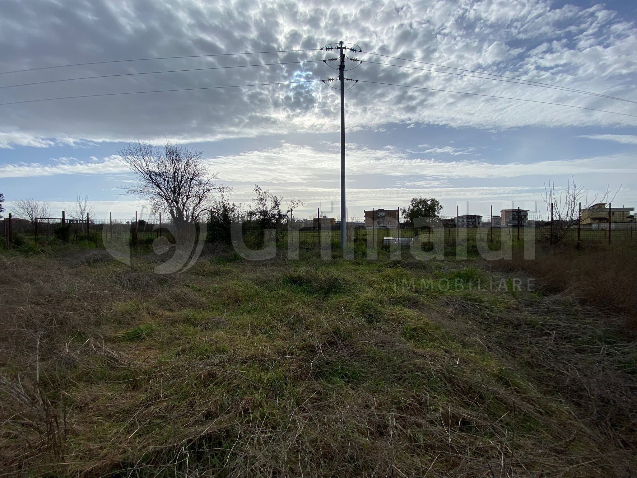 Terreno Agricolo in affitto a Giugliano in Campania