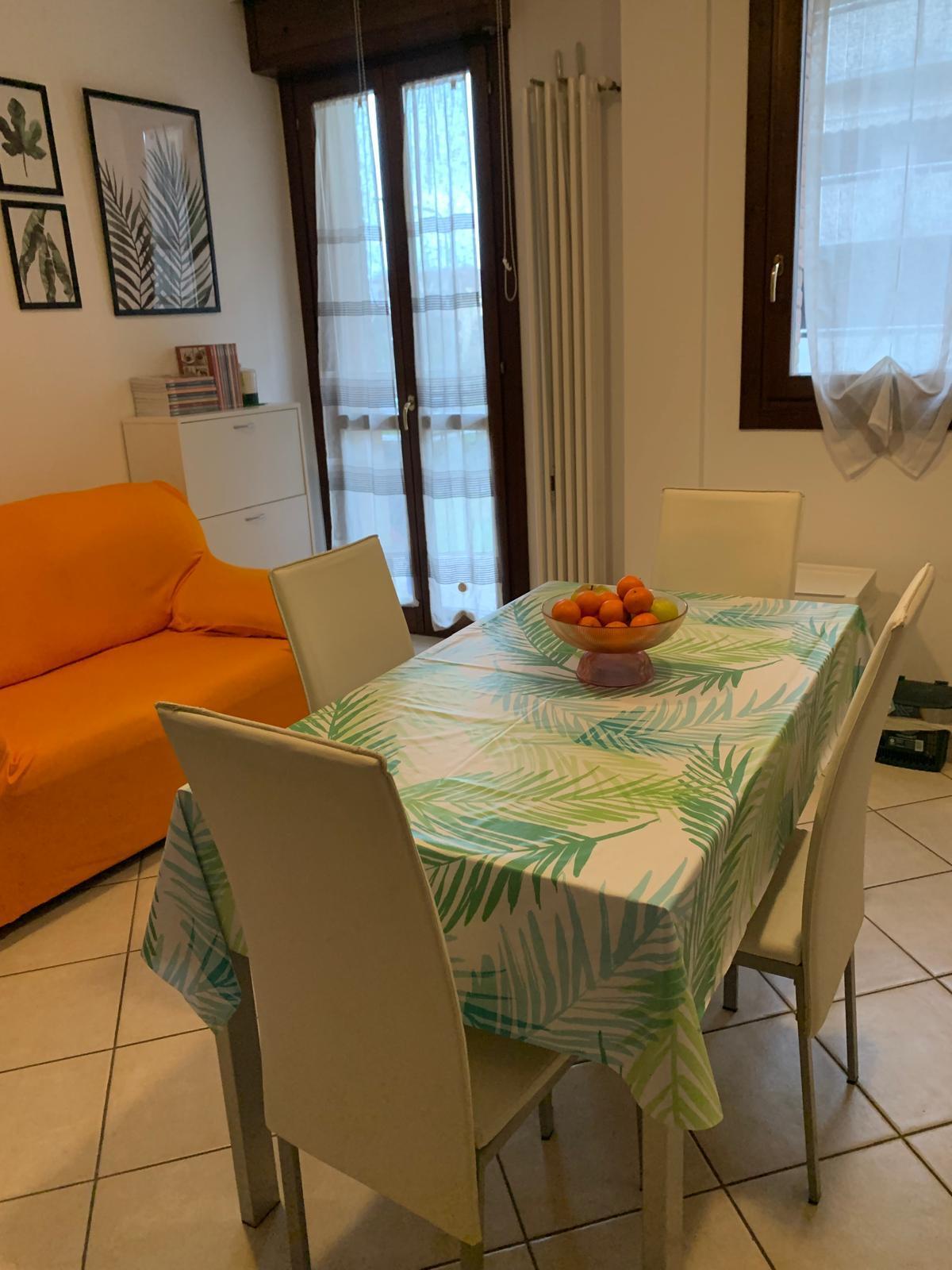 Trilocale in affitto a Mirandola