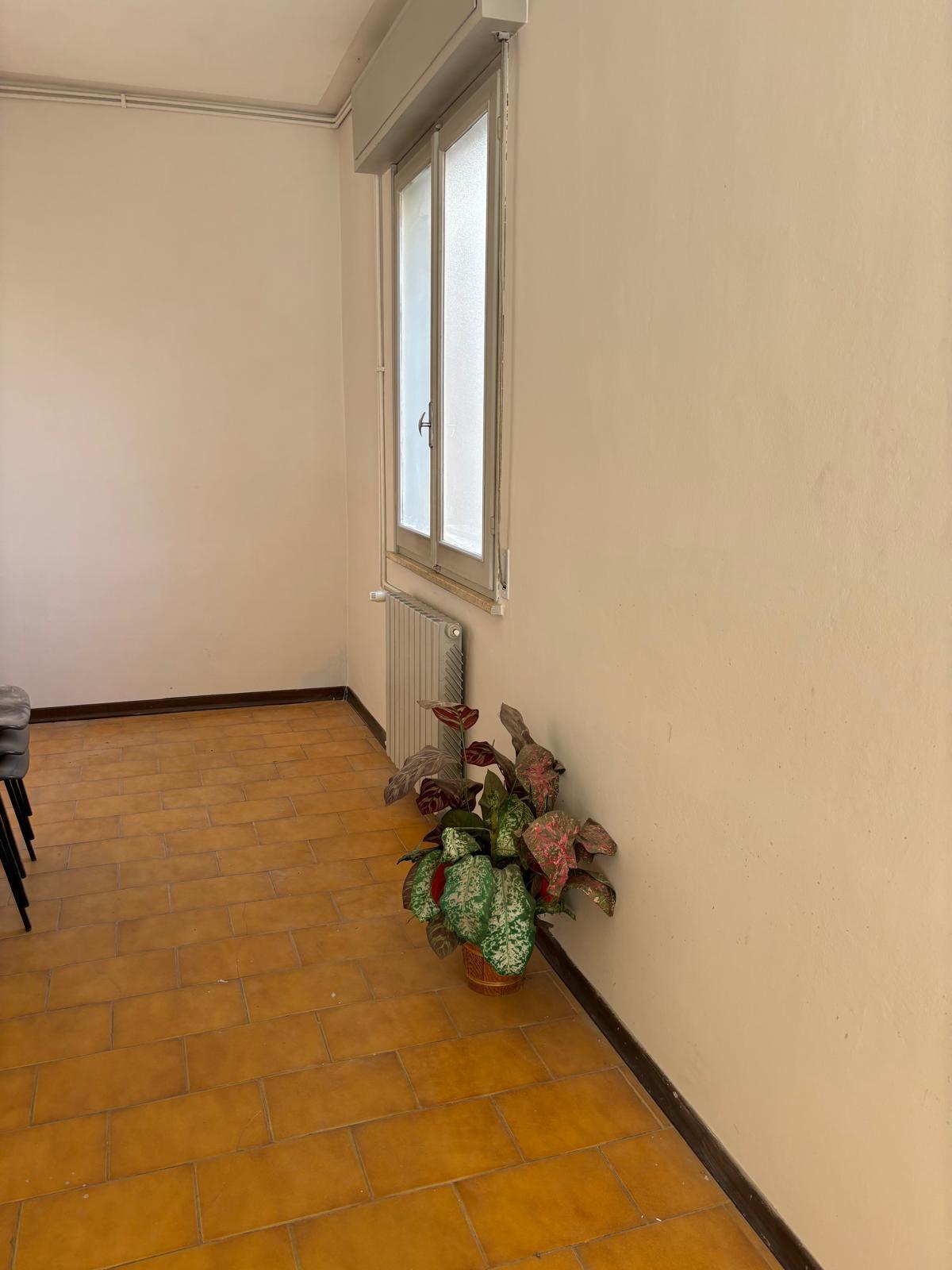 Casa indipendente in affitto a Cavezzo
