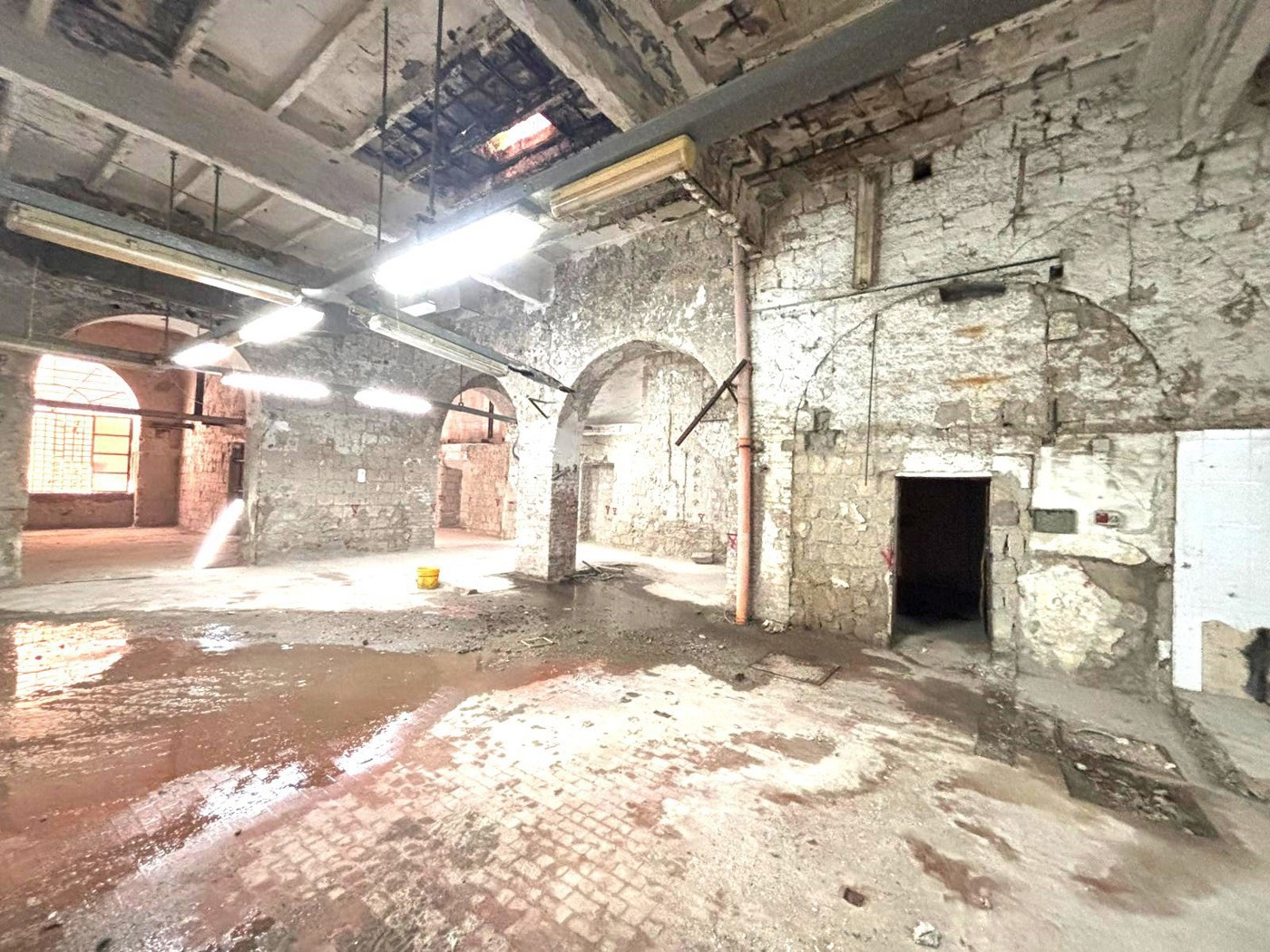 Attivit� commerciale in affitto/gestione a Napoli