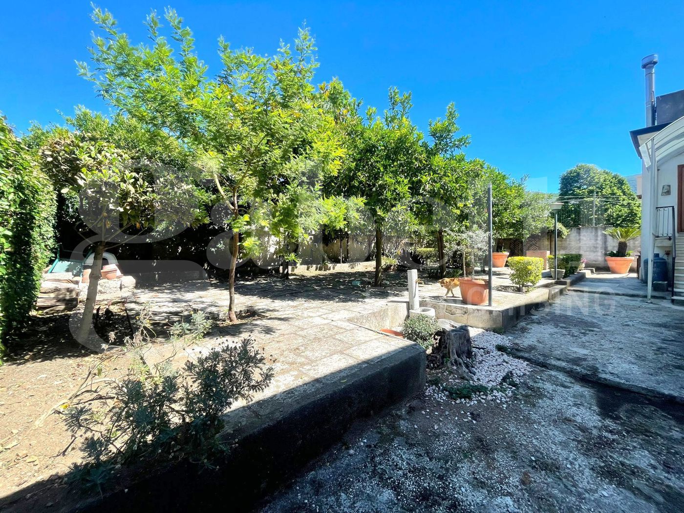 Appartamento con giardino a Piedimonte Matese