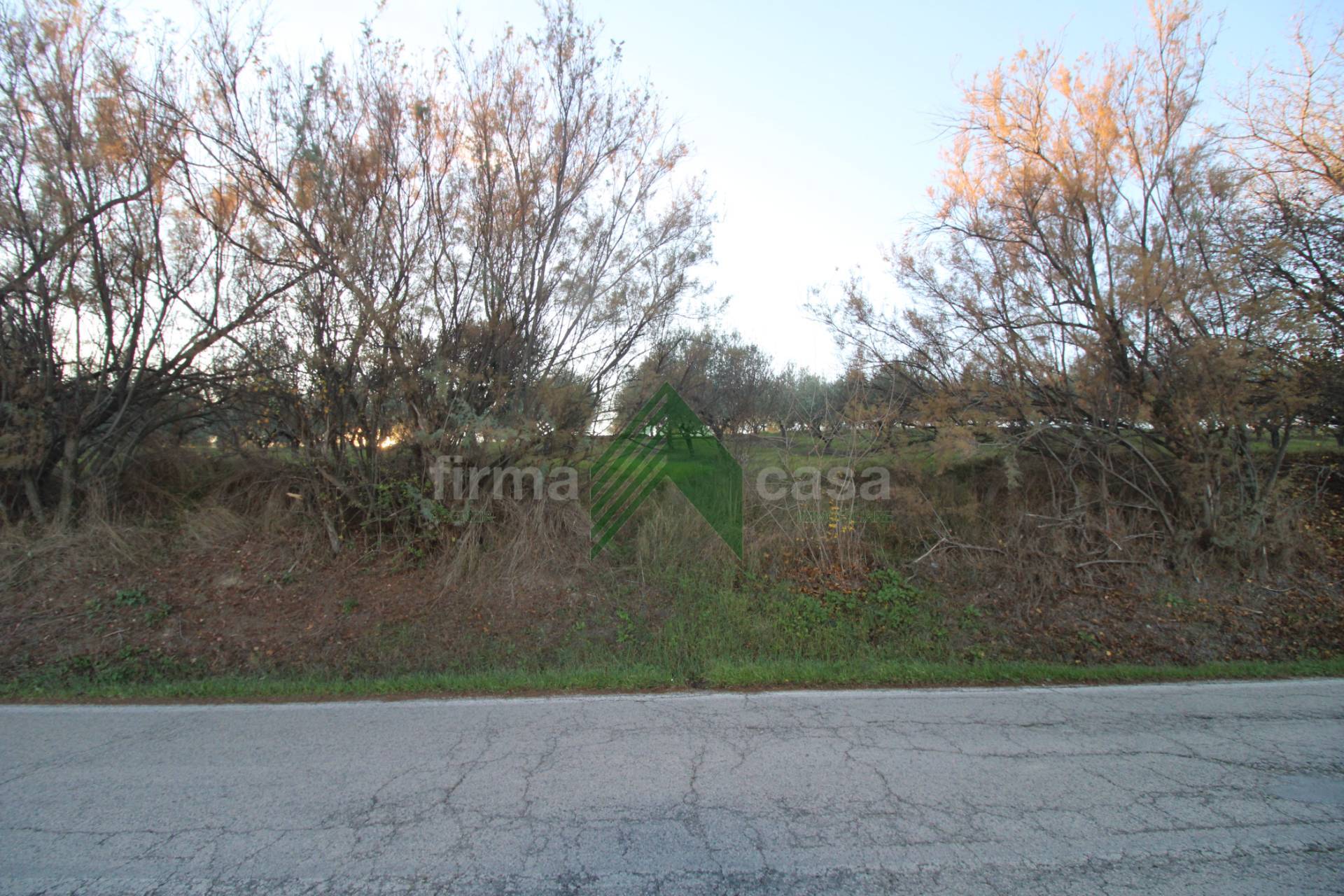 Terreno Agricolo in vendita a Bellante, San Mauro