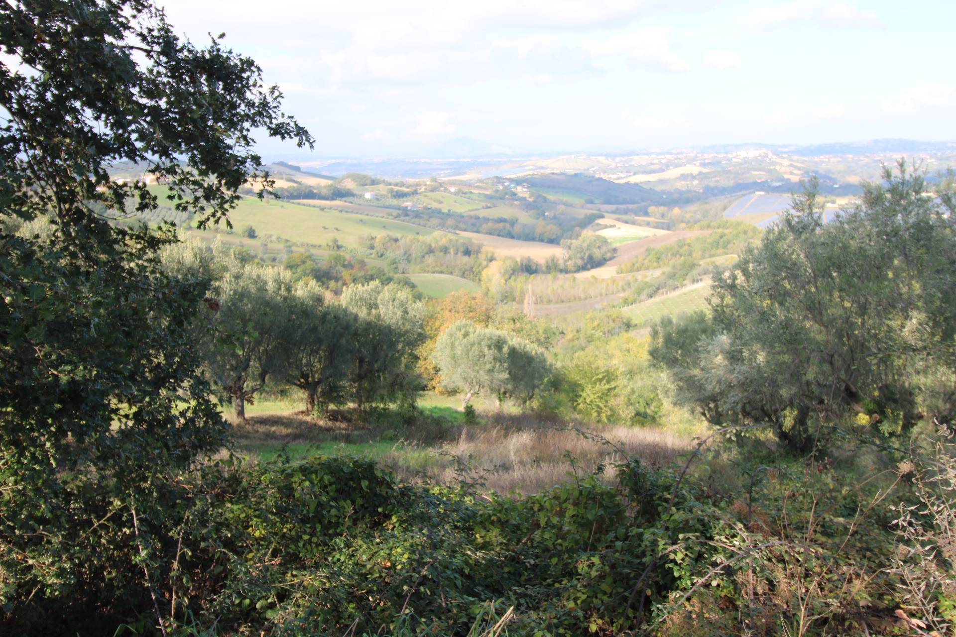 immagine annuncio 7 di 9