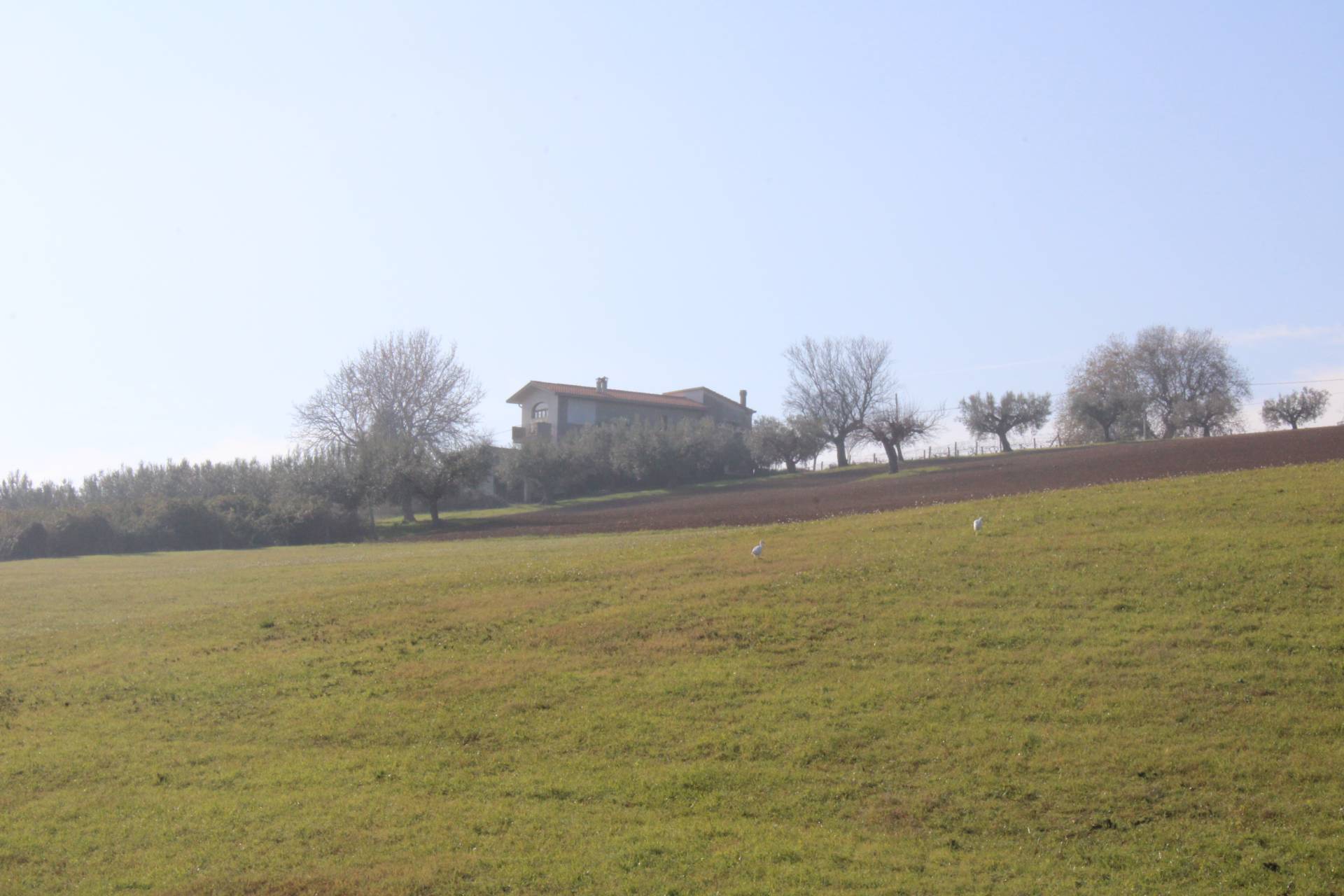 Casa singola in vendita a Giulianova, Giulianova Paese