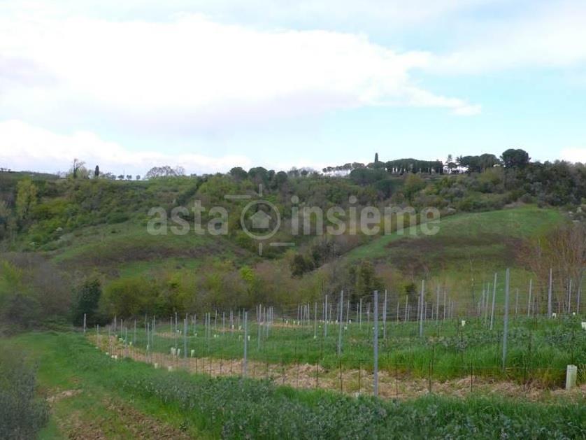 Terreno Agricolo in vendita a Empoli