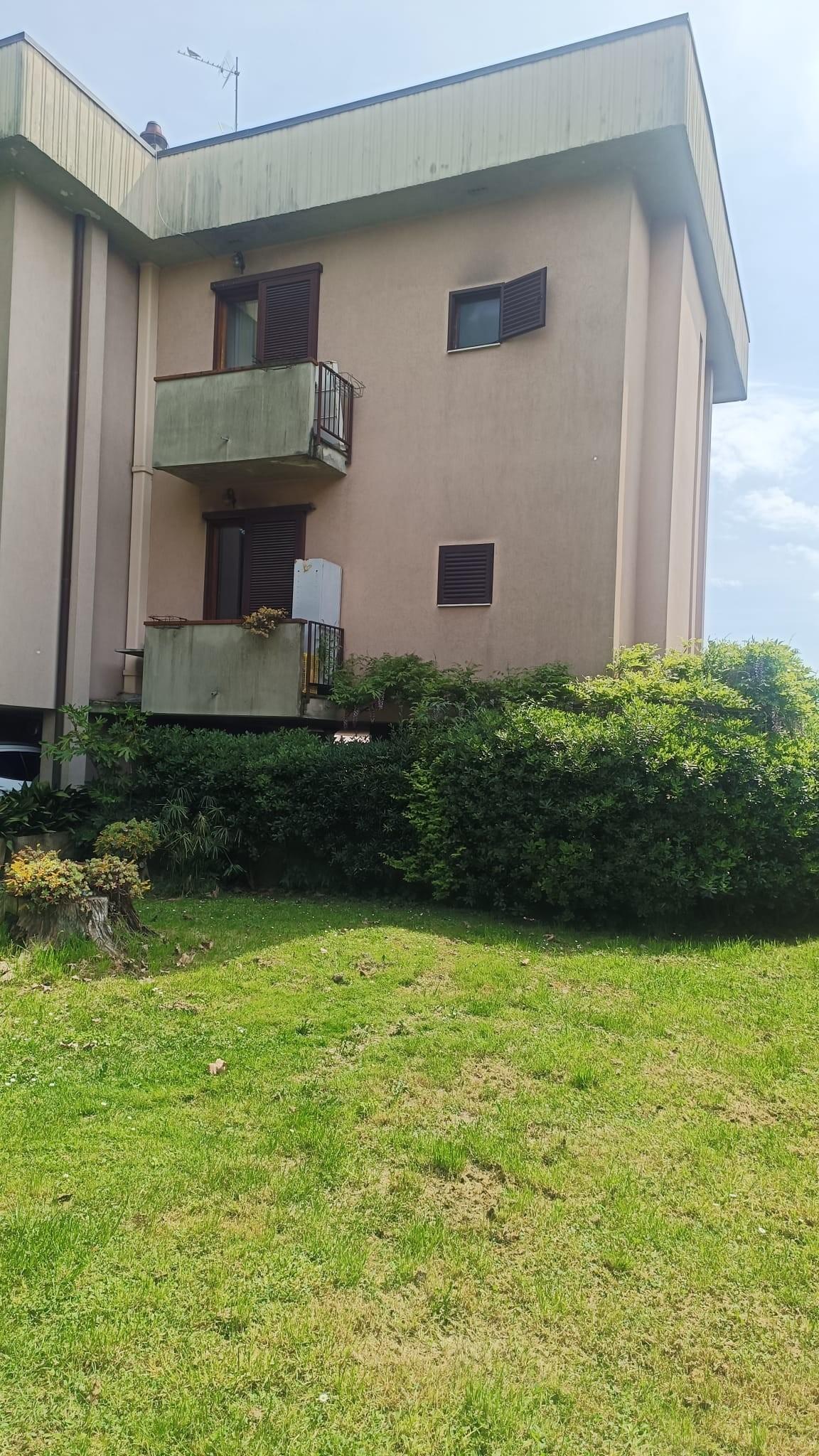 immagine annuncio 3 di 6