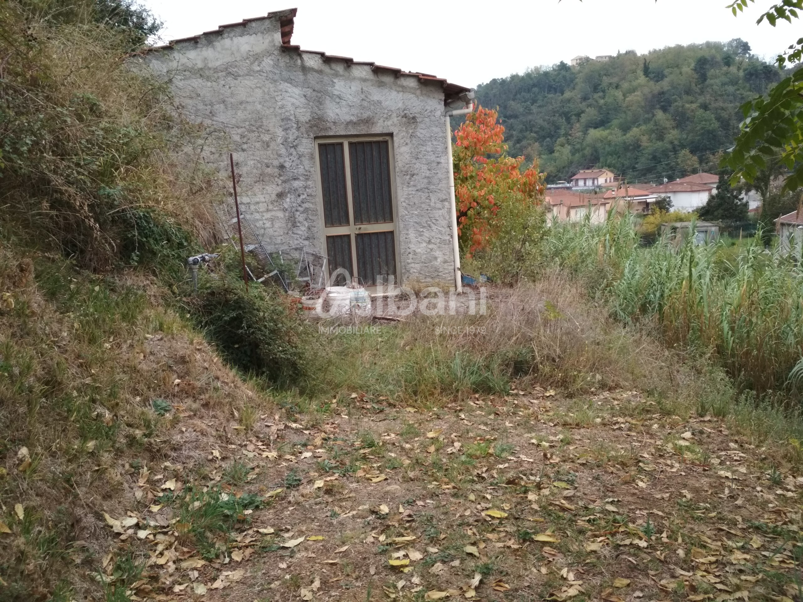 Terreno Agricolo in vendita, Vezzano Ligure molinello