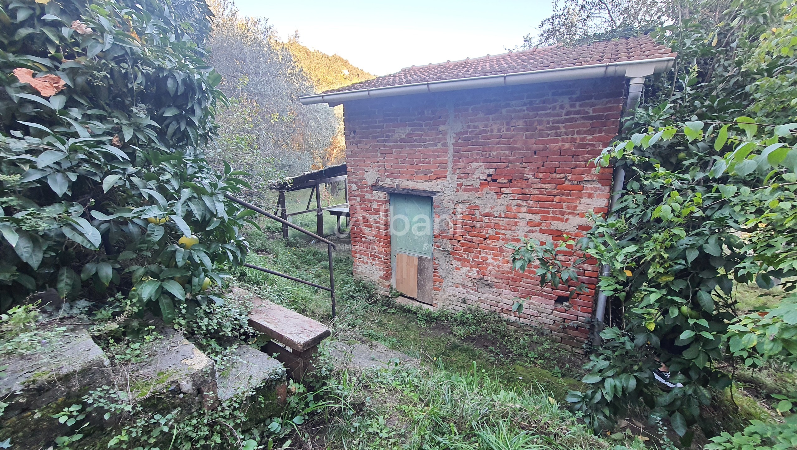 Terreno Agricolo in vendita, La Spezia san venerio