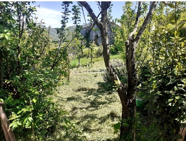 Quadrilocale con giardino a La Spezia