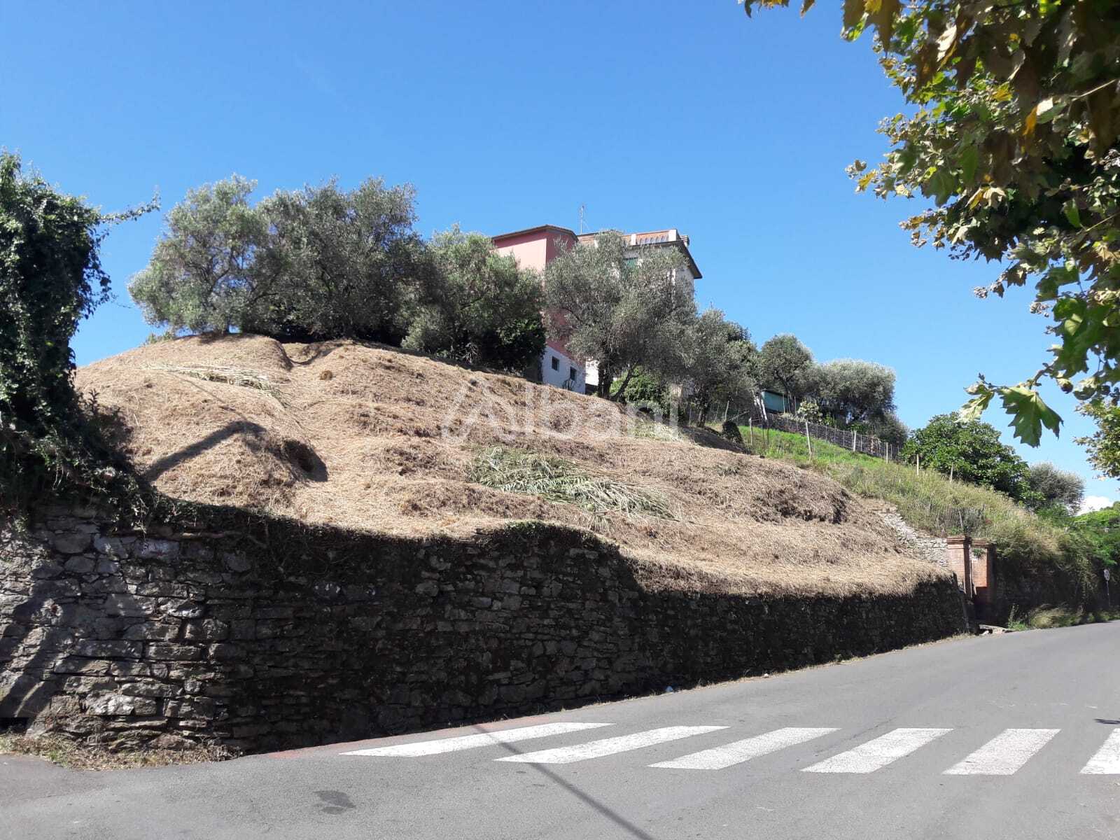 Terreno Agricolo in vendita, Arcola baccano