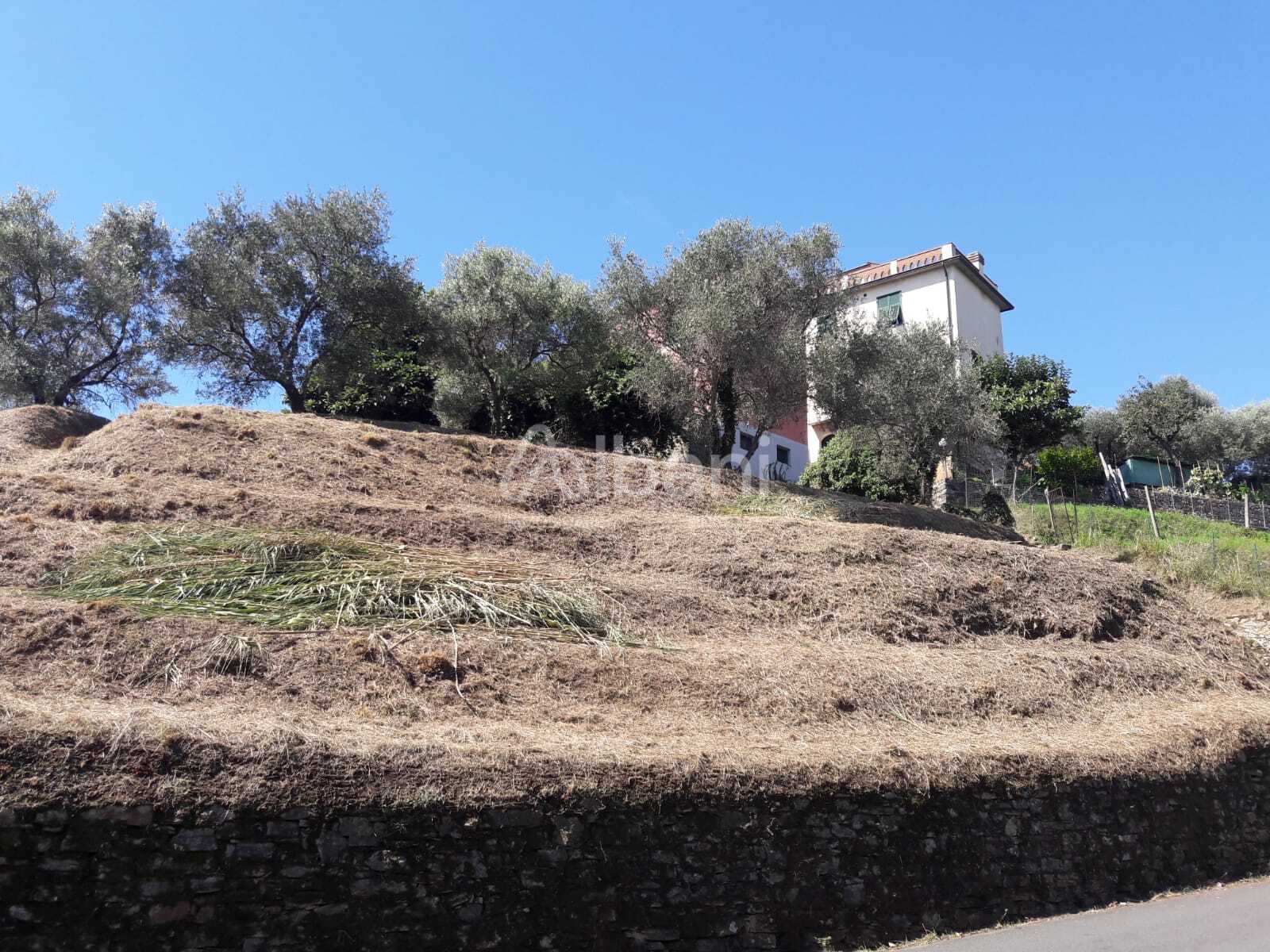 Terreno Agricolo in vendita, Arcola baccano