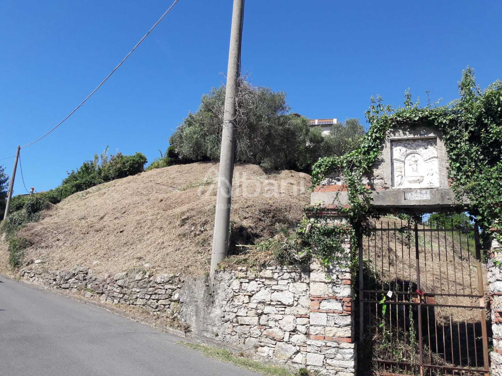 Terreno Agricolo in vendita, Arcola baccano