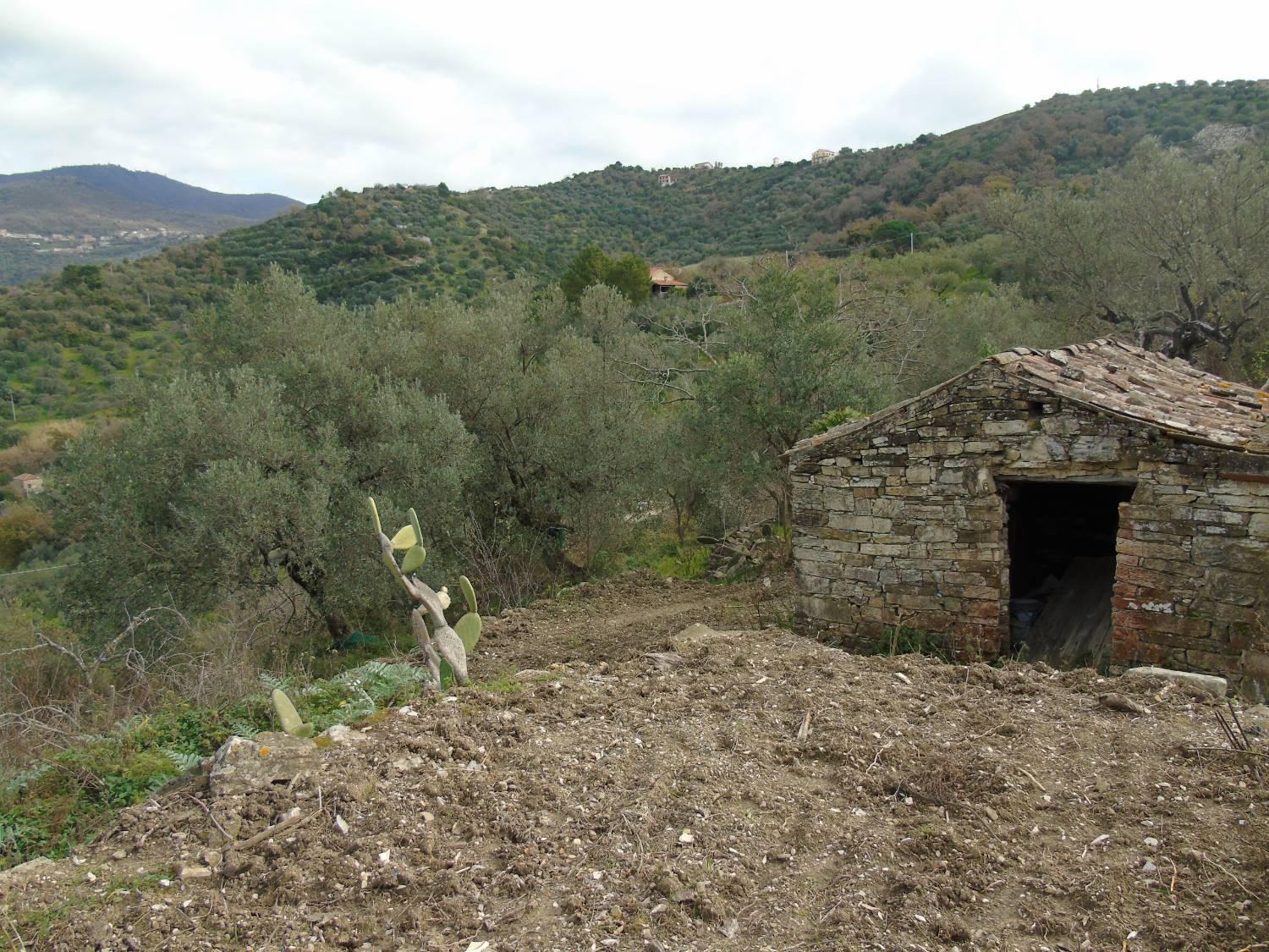 Terreno Edificabile in vendita a San Mauro Cilento