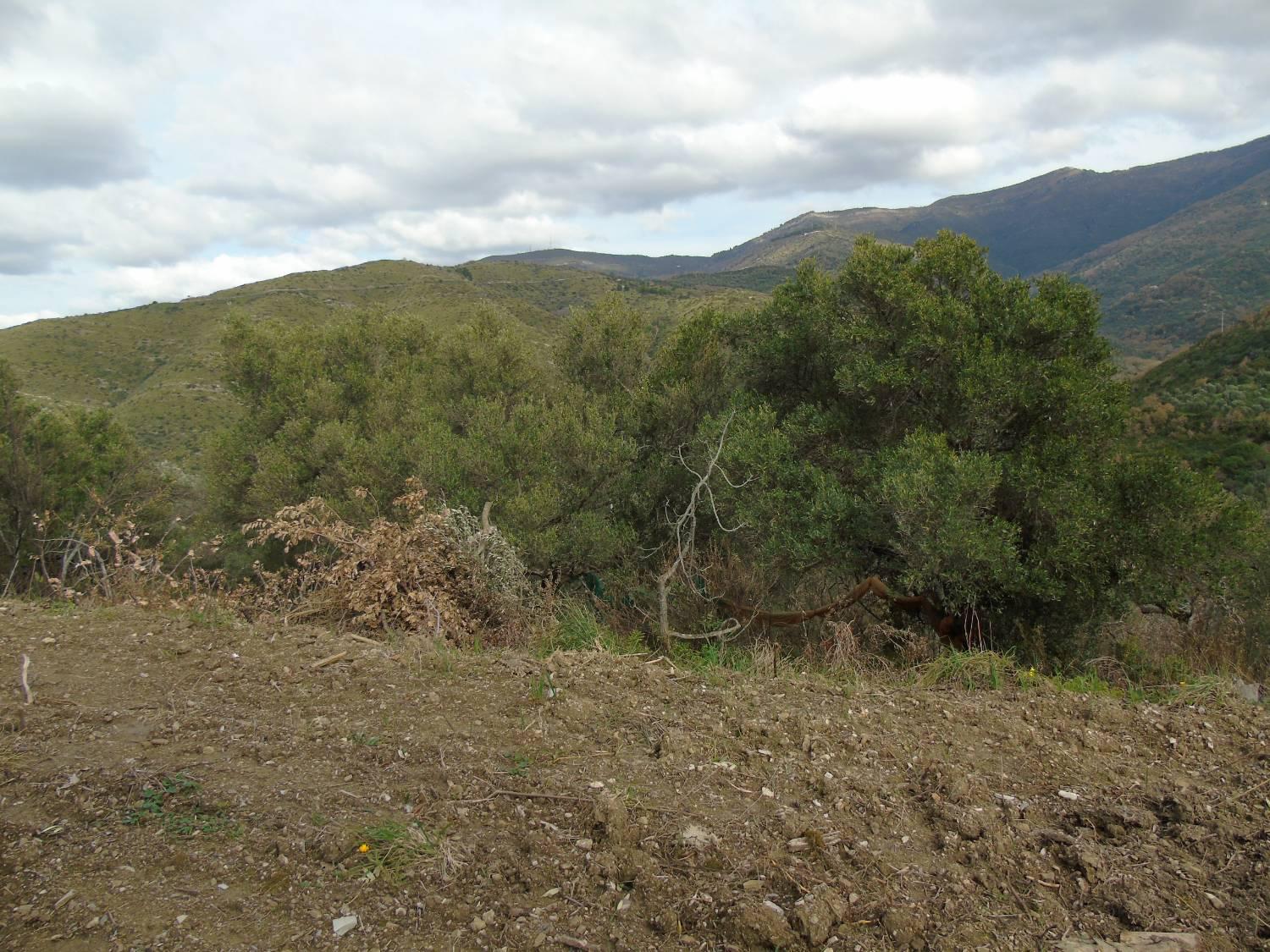 Terreno Edificabile in vendita a San Mauro Cilento