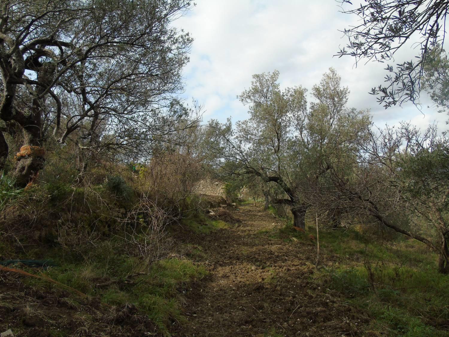 Terreno Edificabile in vendita a San Mauro Cilento