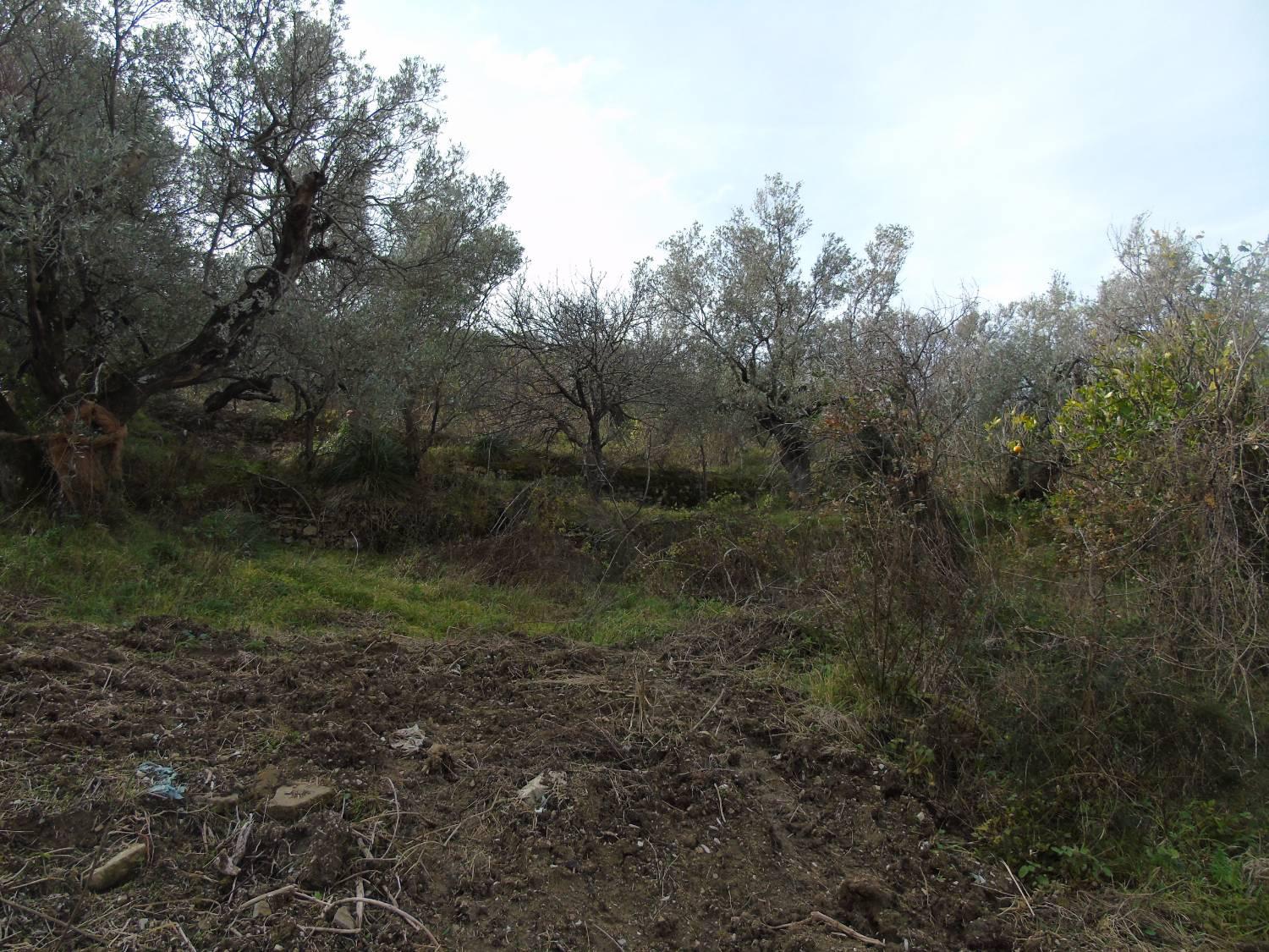 Terreno Edificabile in vendita a San Mauro Cilento