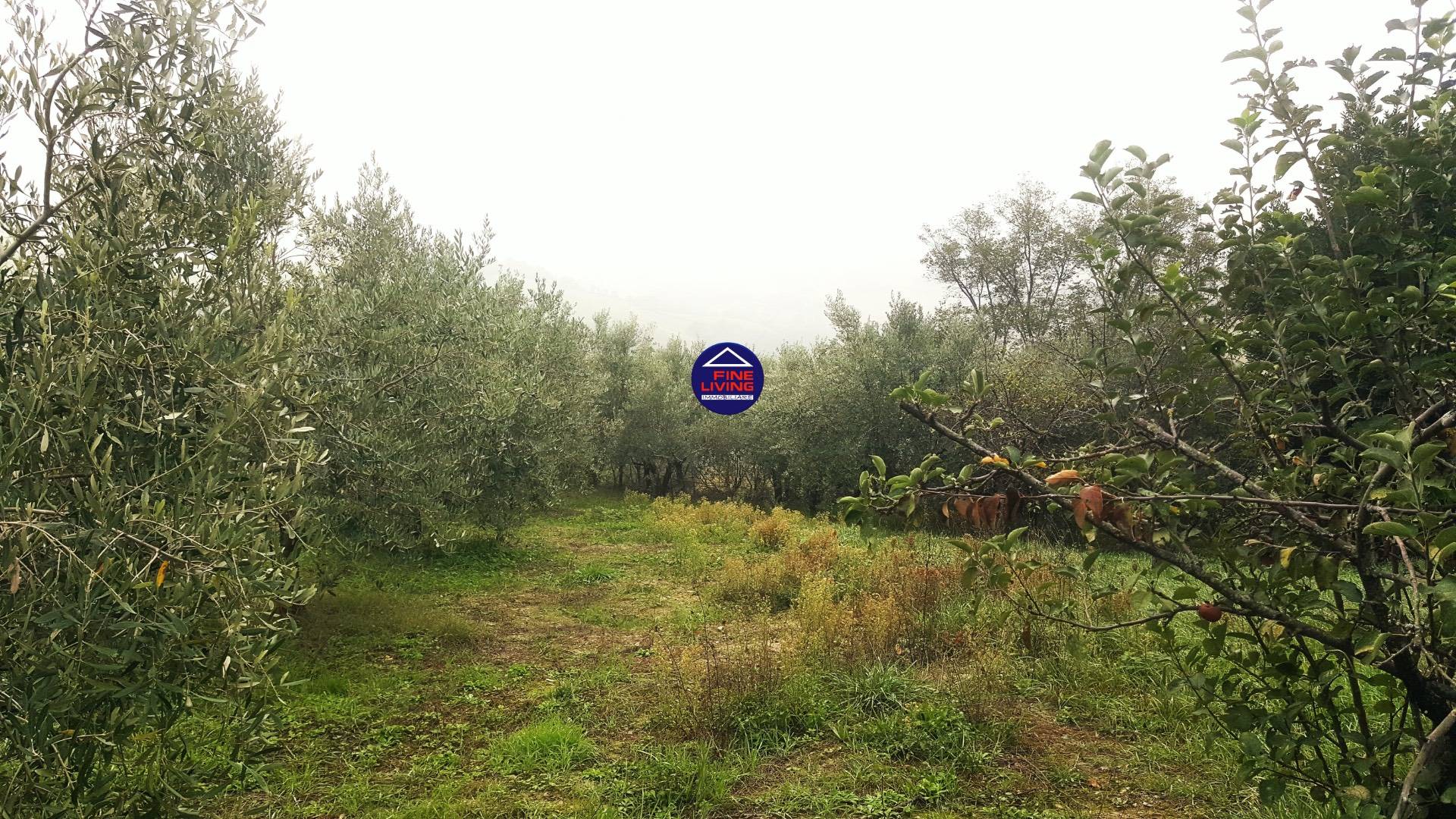 Casa singola in vendita a Montefelcino