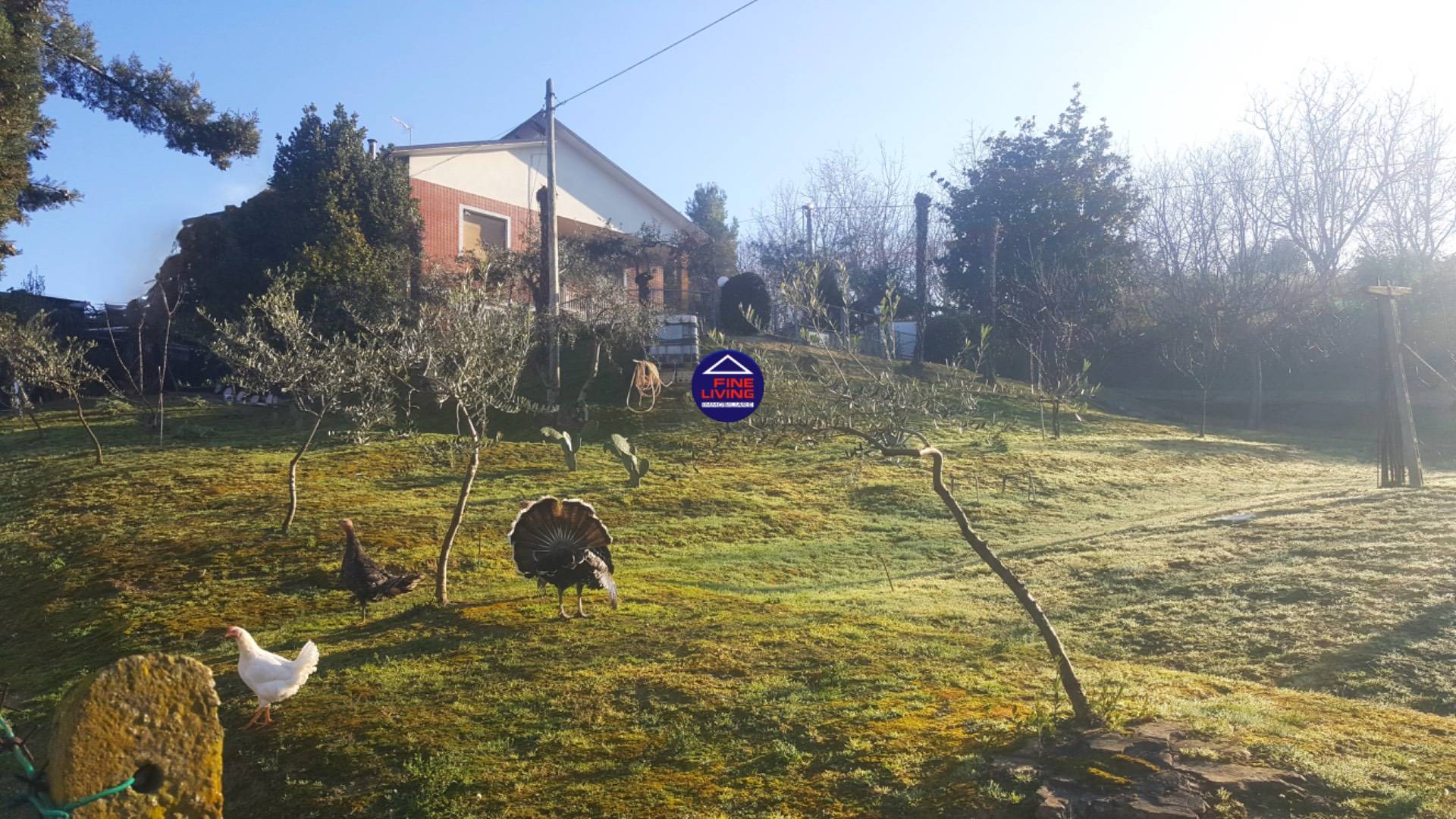 Casa singola in vendita a Montelabbate