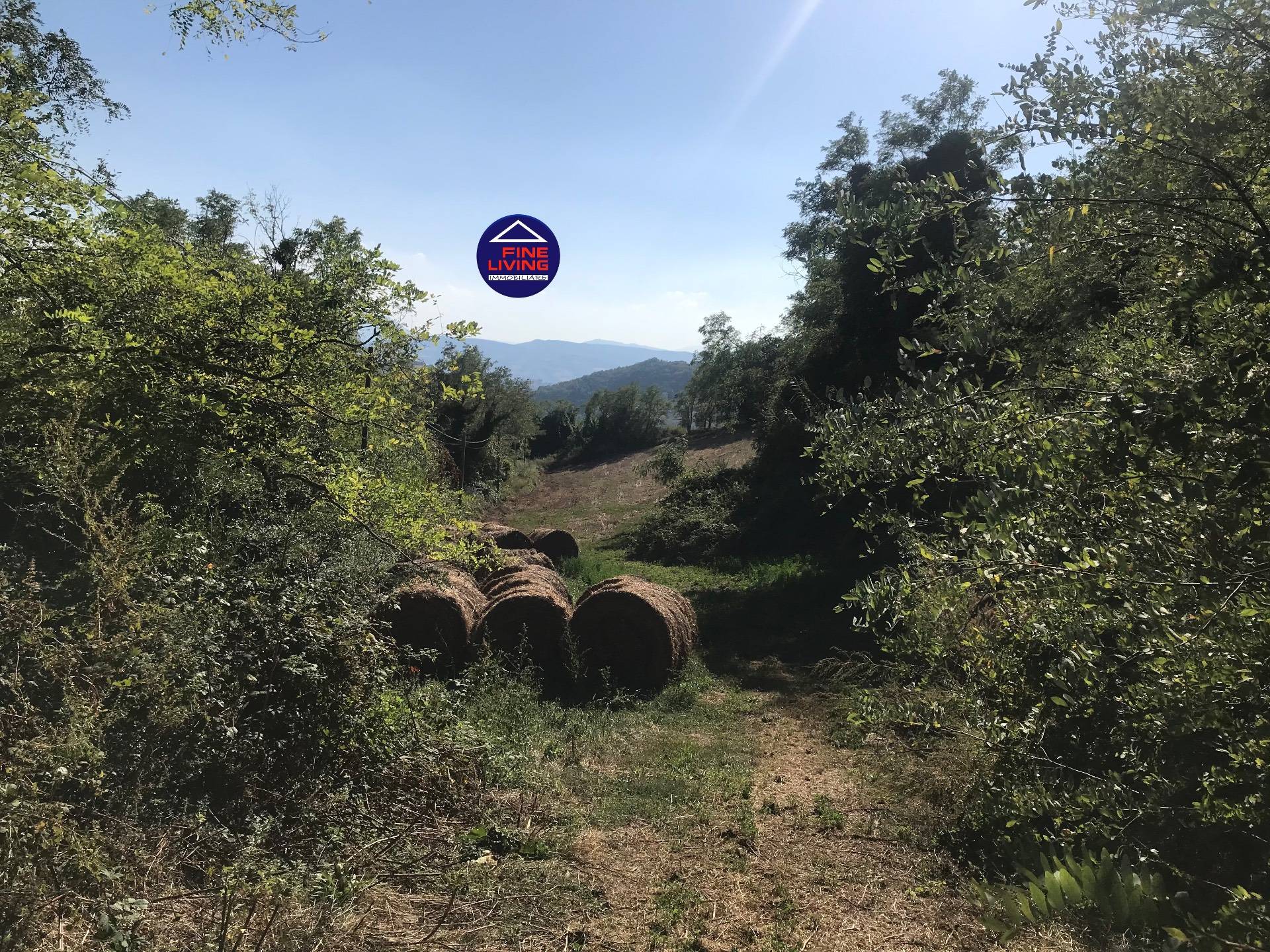 Casa singola in vendita a Colli al Metauro