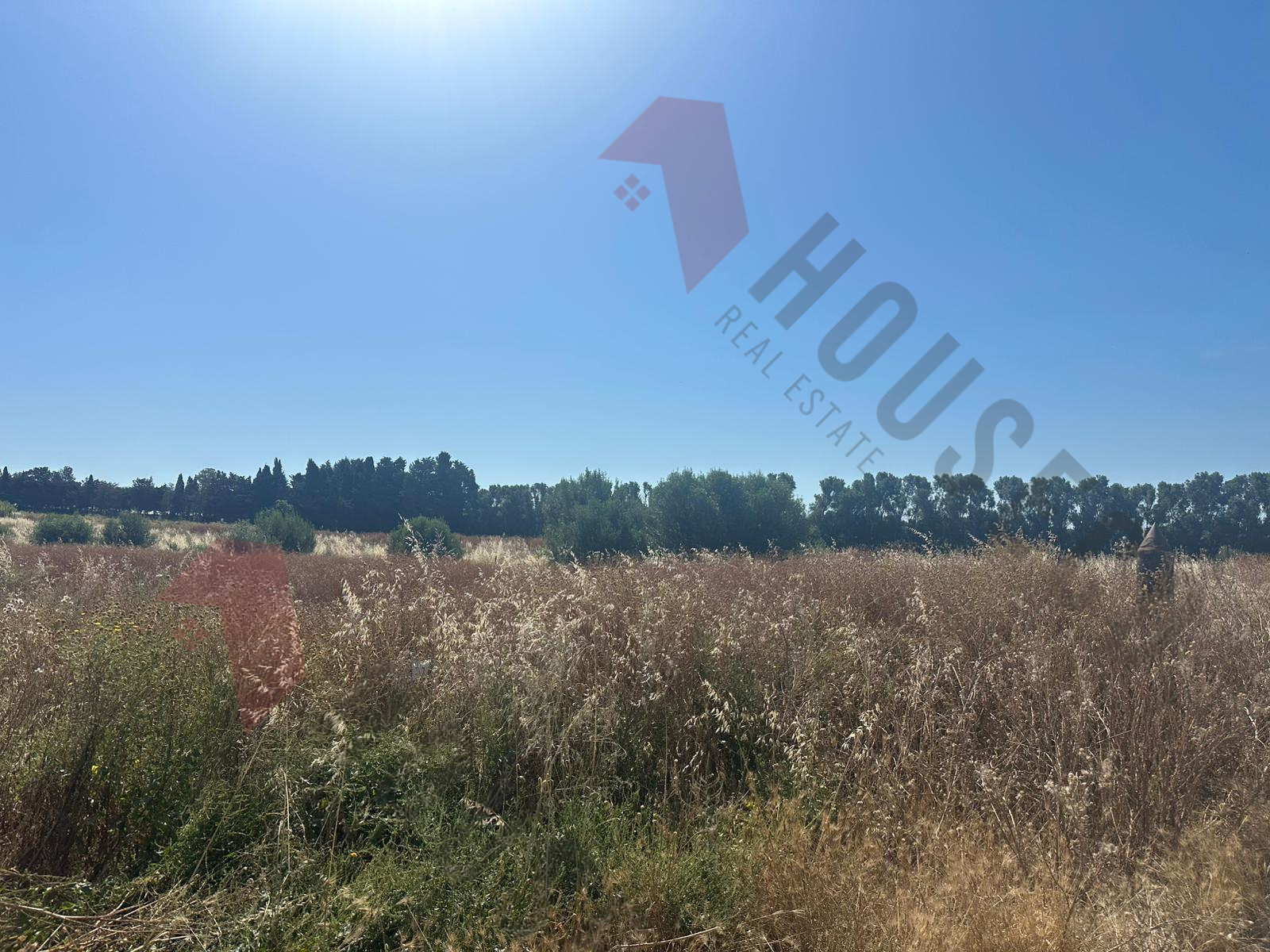 Terreno Agricolo in vendita a Quartu Sant'Elena