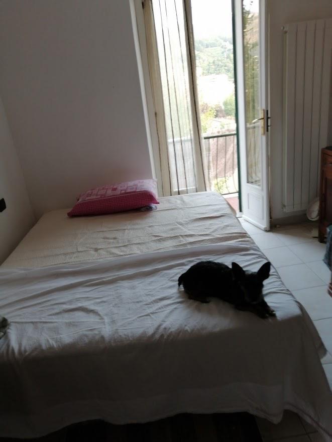 Quadrilocale arredato in affitto a Carrara