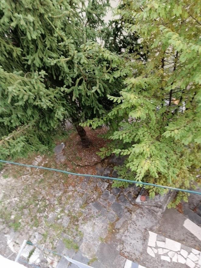 Quadrilocale arredato in affitto a Carrara