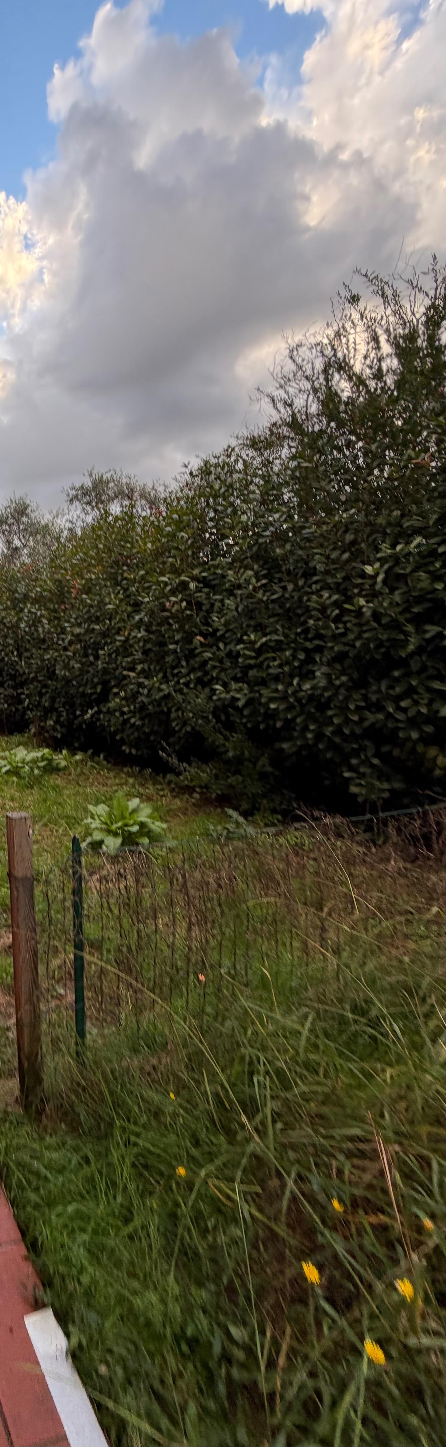 Casa indipendente arredata in affitto a Sarzana