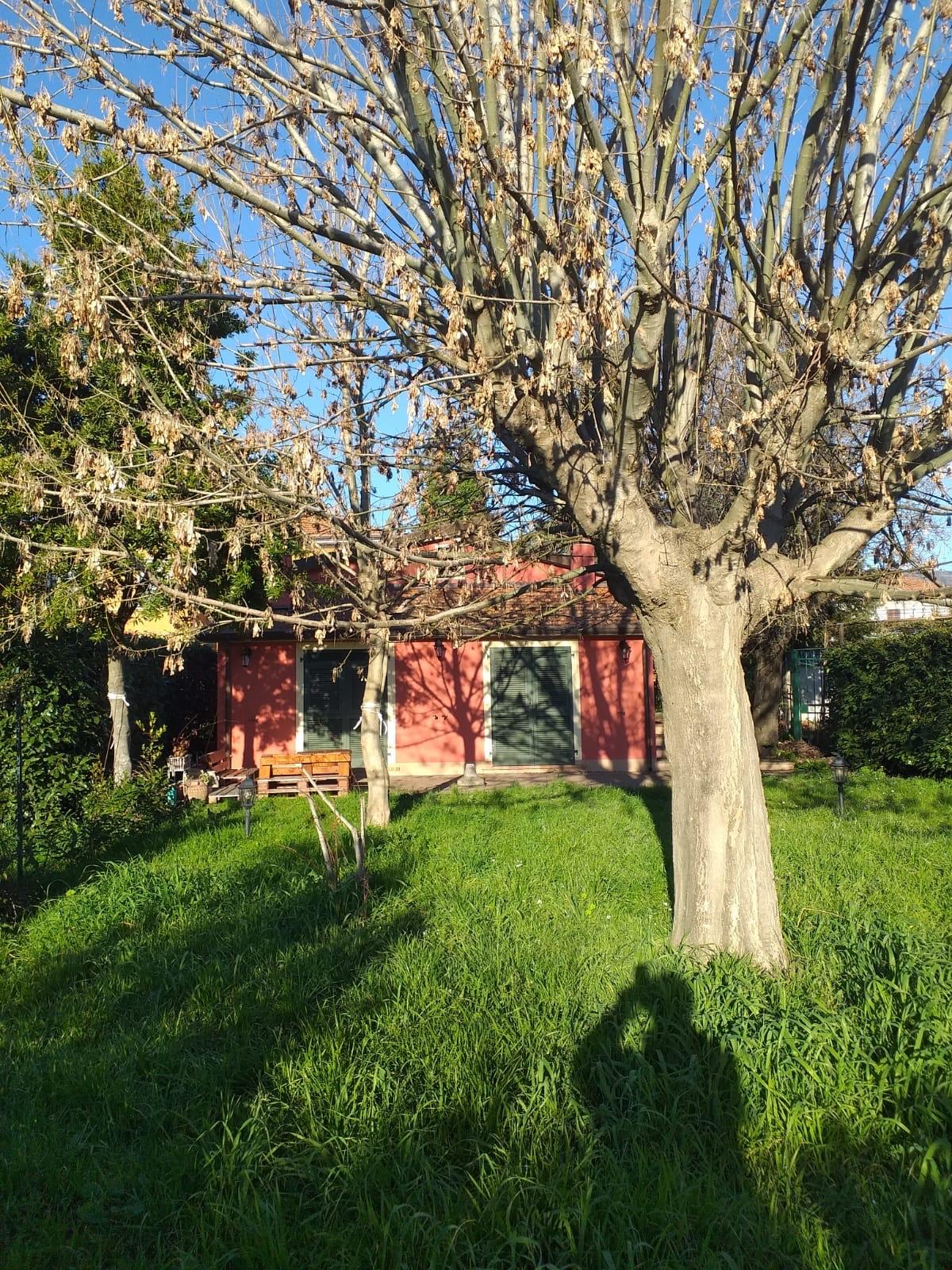 Villa arredata in affitto, Santo Stefano di Magra ponzano magra