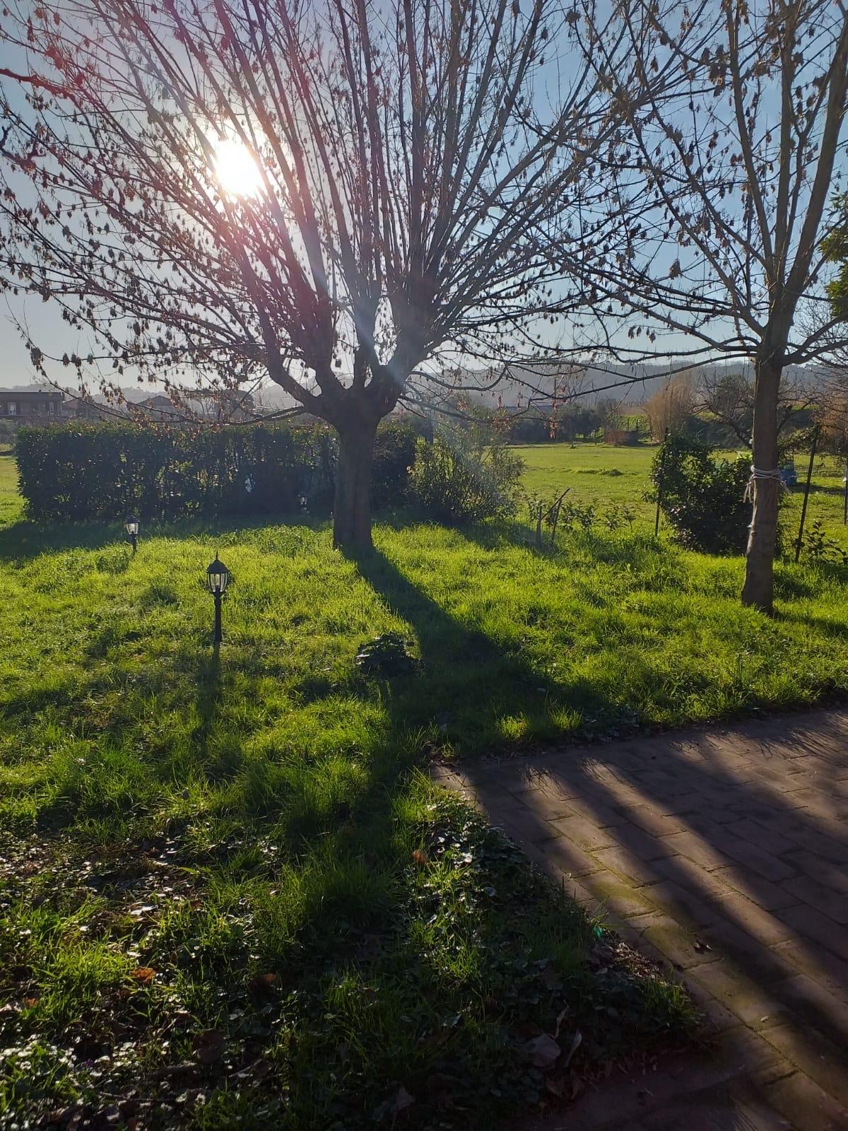 Villa arredata in affitto, Santo Stefano di Magra ponzano magra