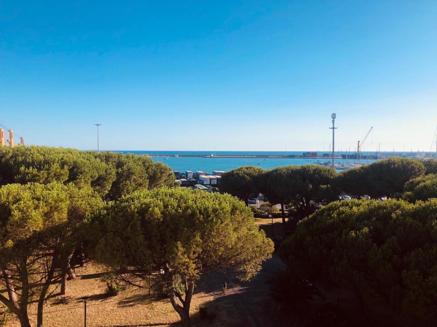 Trilocale arredato in affitto, Carrara marina di