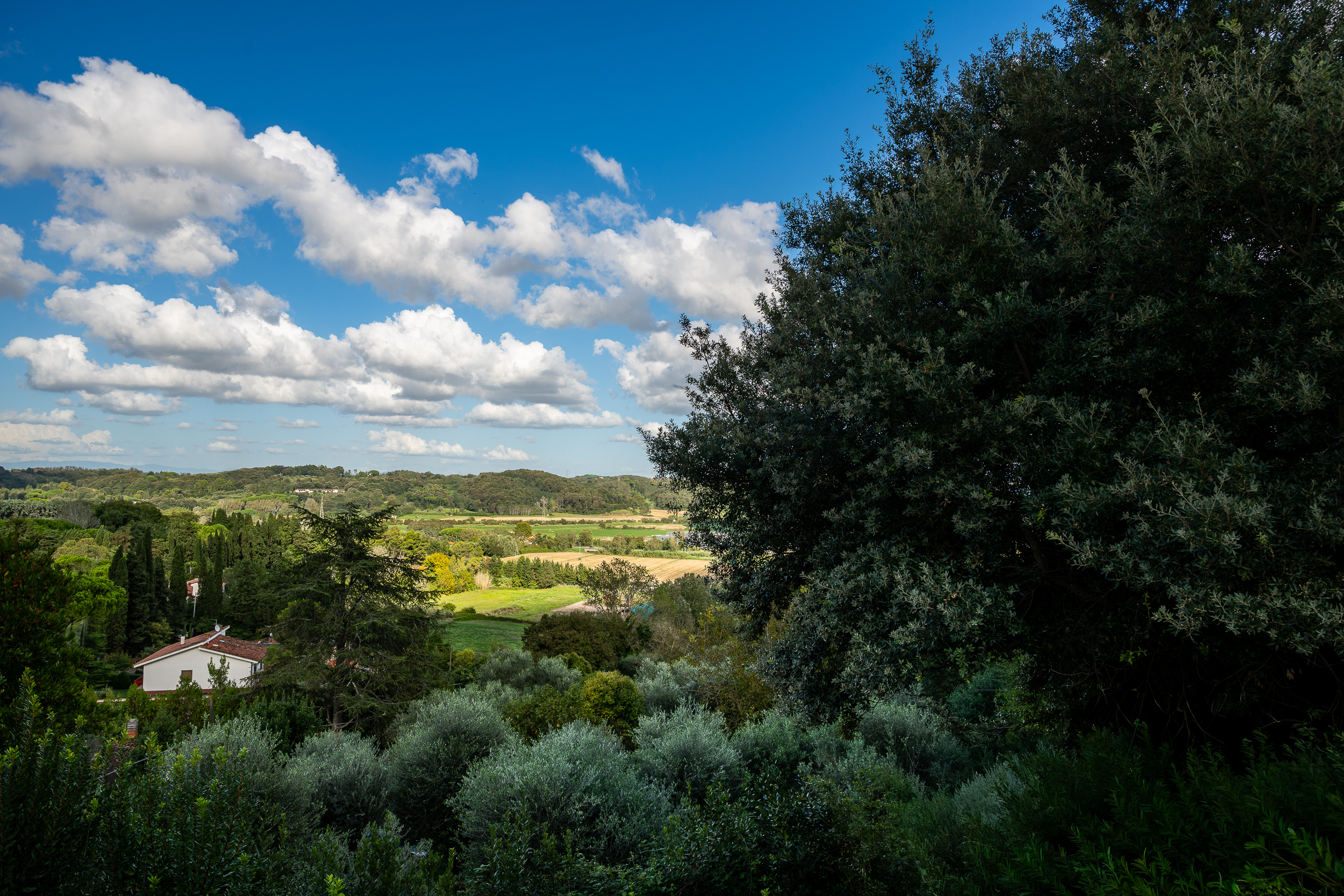 Villa con giardino in via delle corti, Collesalvetti
