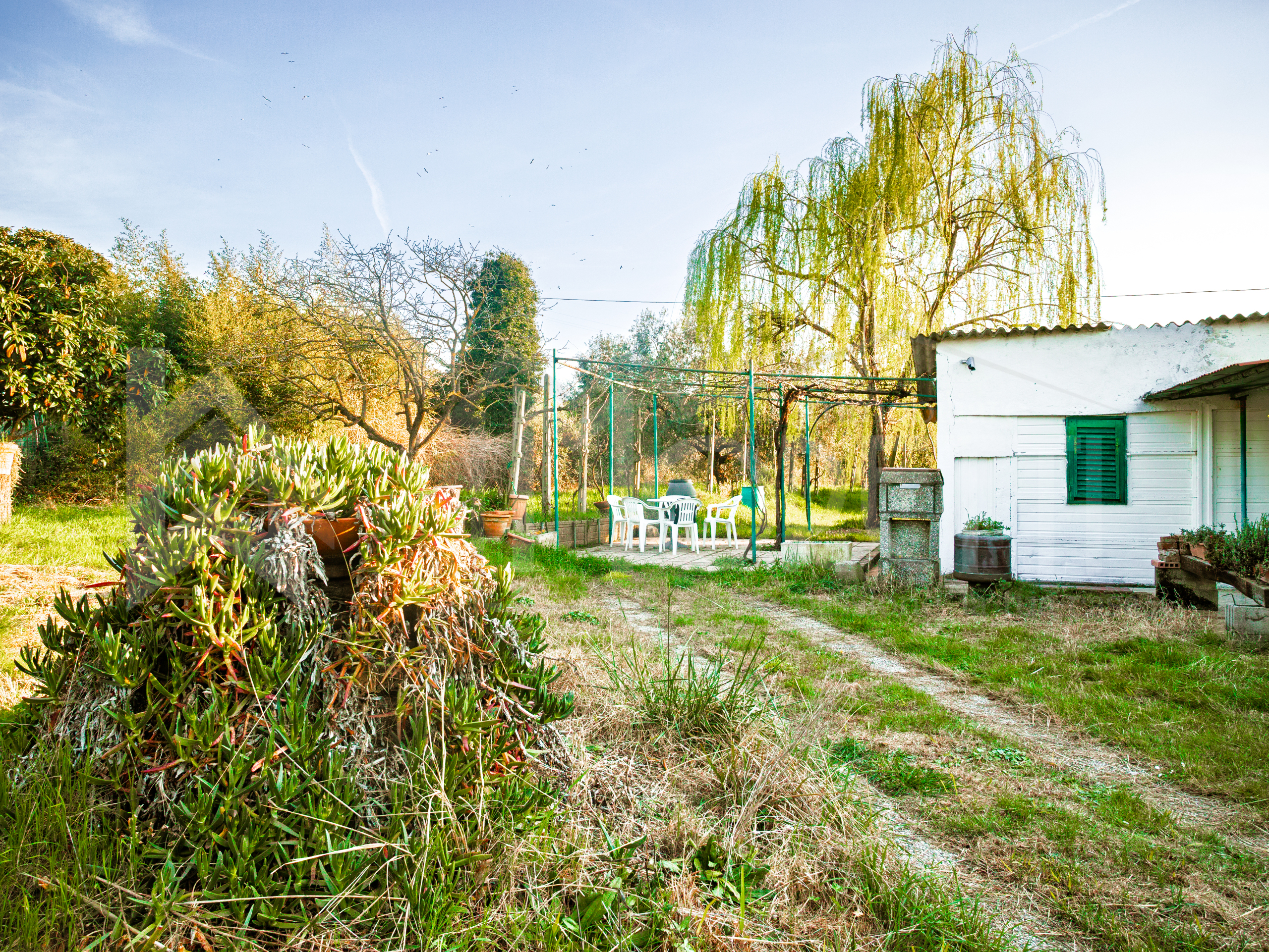 Terreno Agricolo da ristrutturare in via delle sorgenti, Livorno