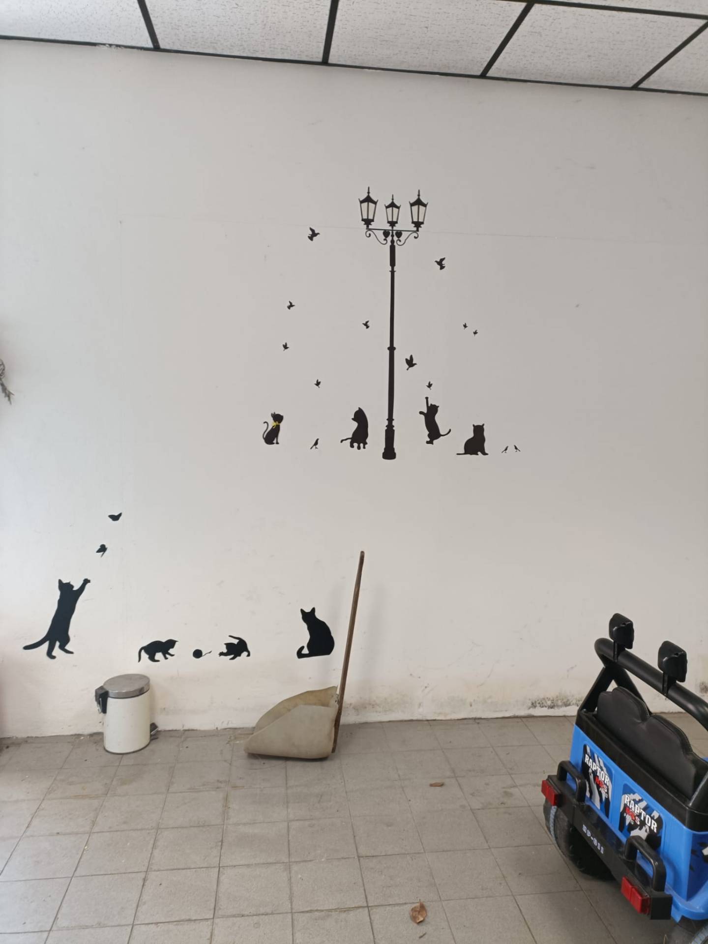 immagine annuncio 5 di 6