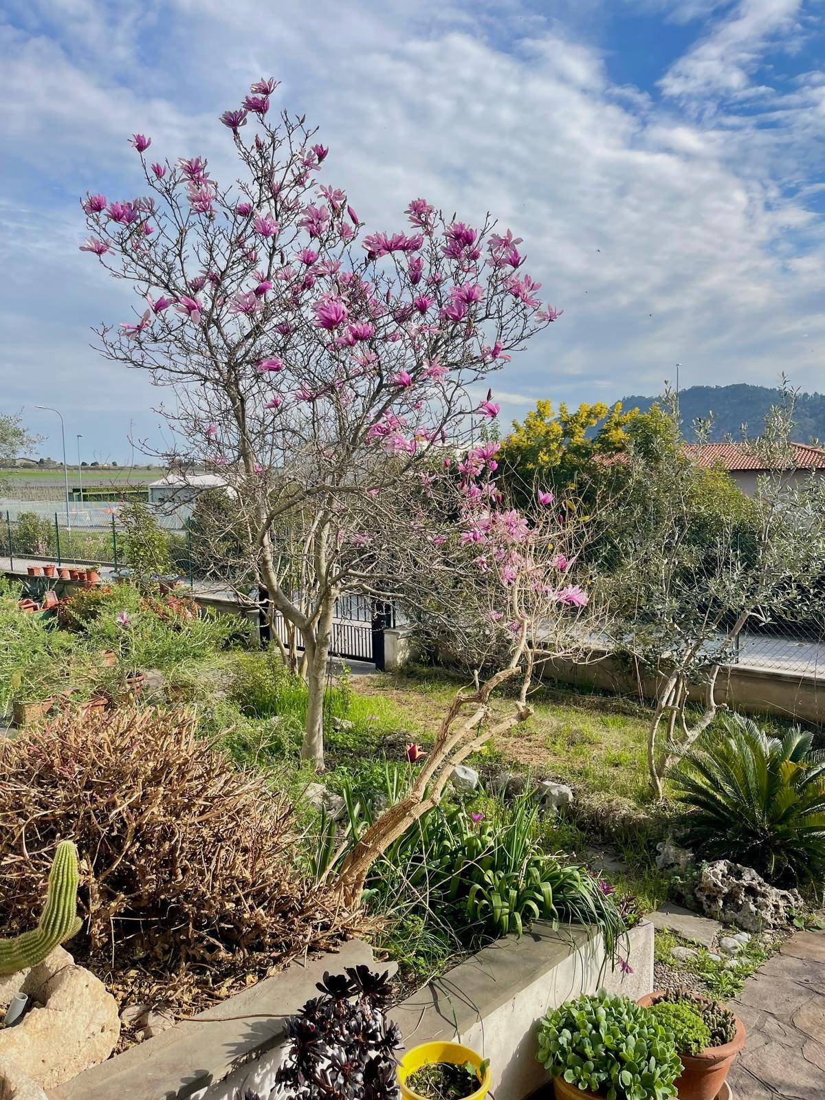 Casa singola in vendita a Erbusco