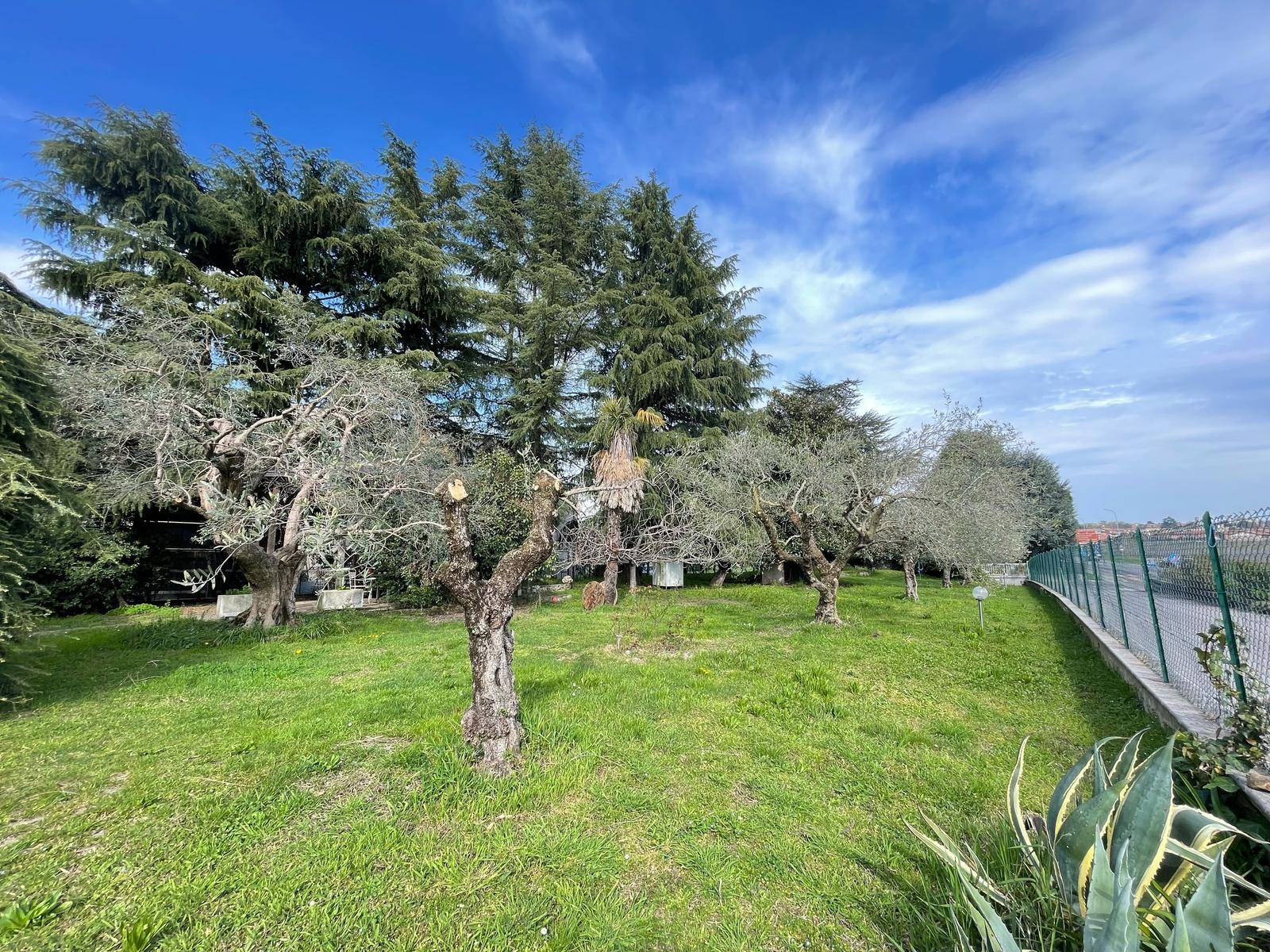 Casa singola in vendita a Erbusco