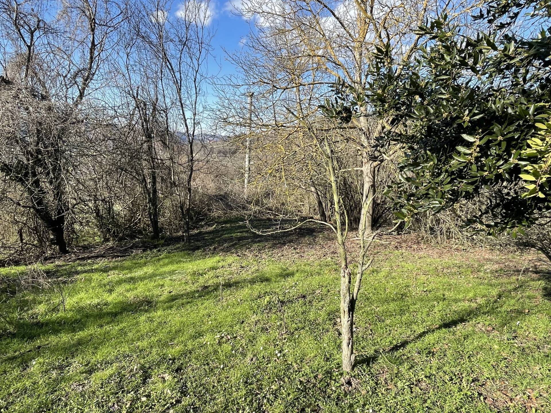 Casa singola in vendita a Pezzolo Valle Uzzone, Gorrino