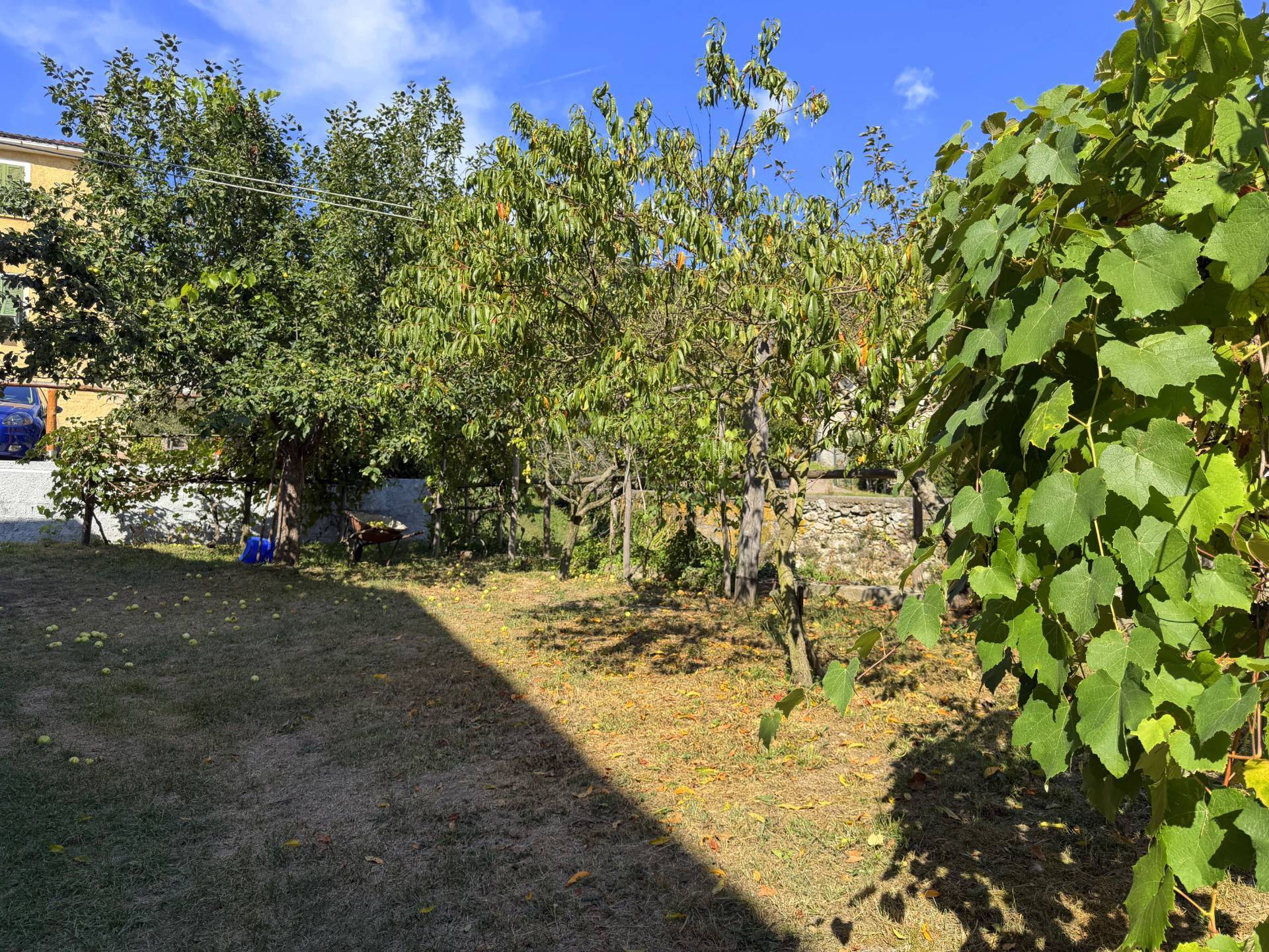Appartamento in vendita a Mallare