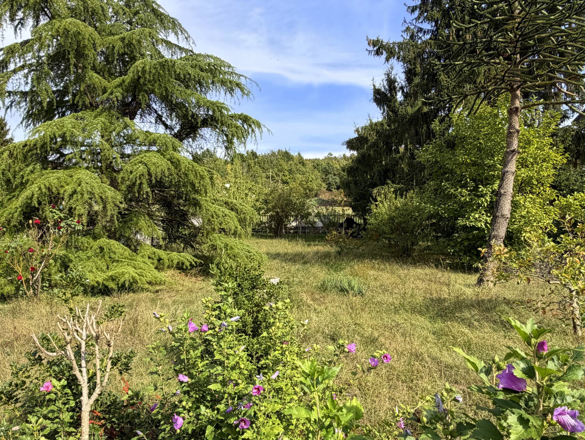 Villa in vendita a Cairo Montenotte