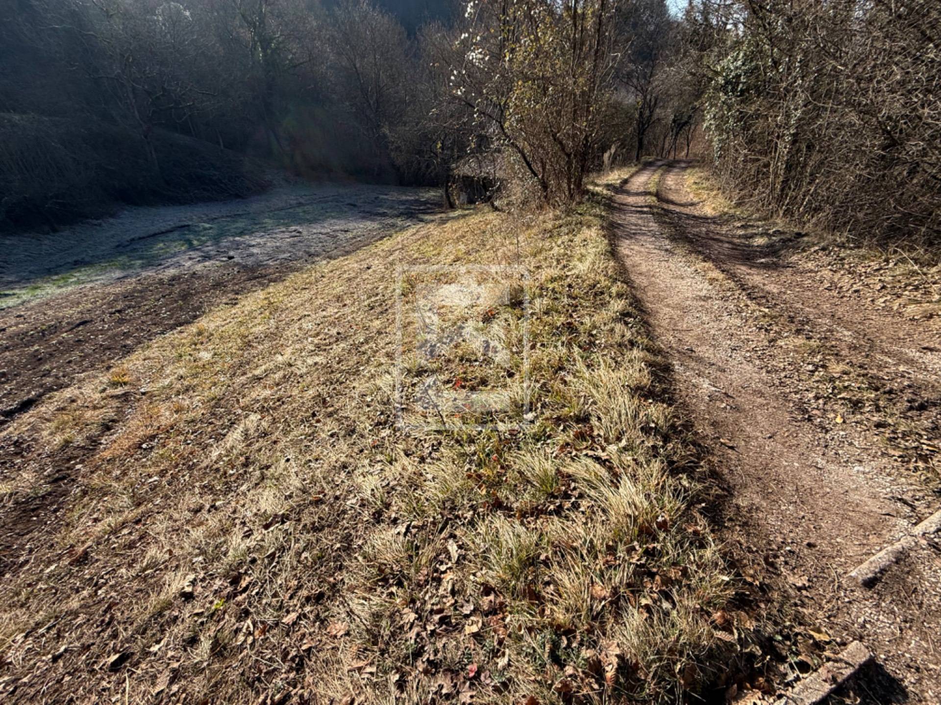Terreno in vendita a Barghe