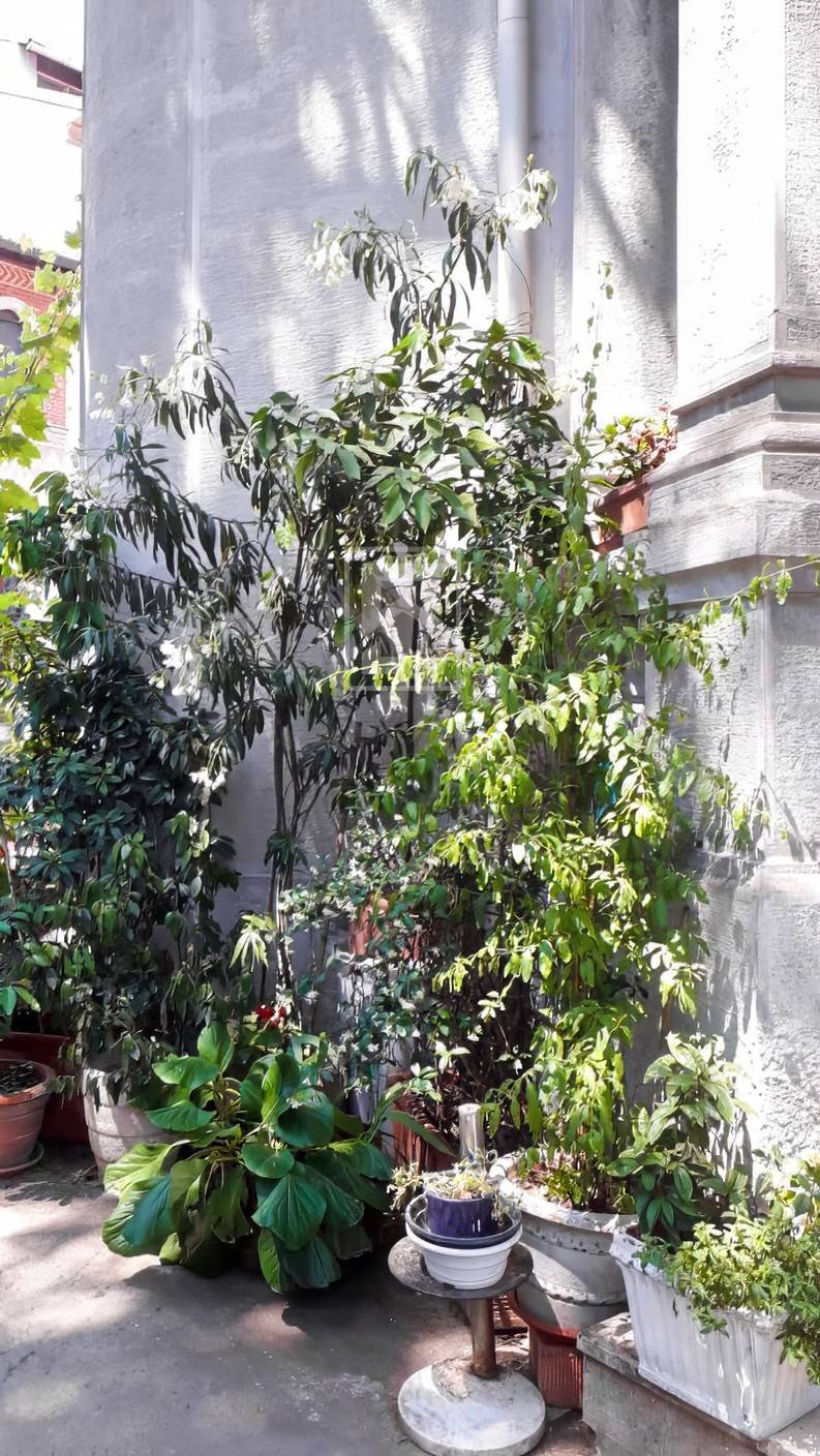 Villa o villino in vendita a Milano, Loreto