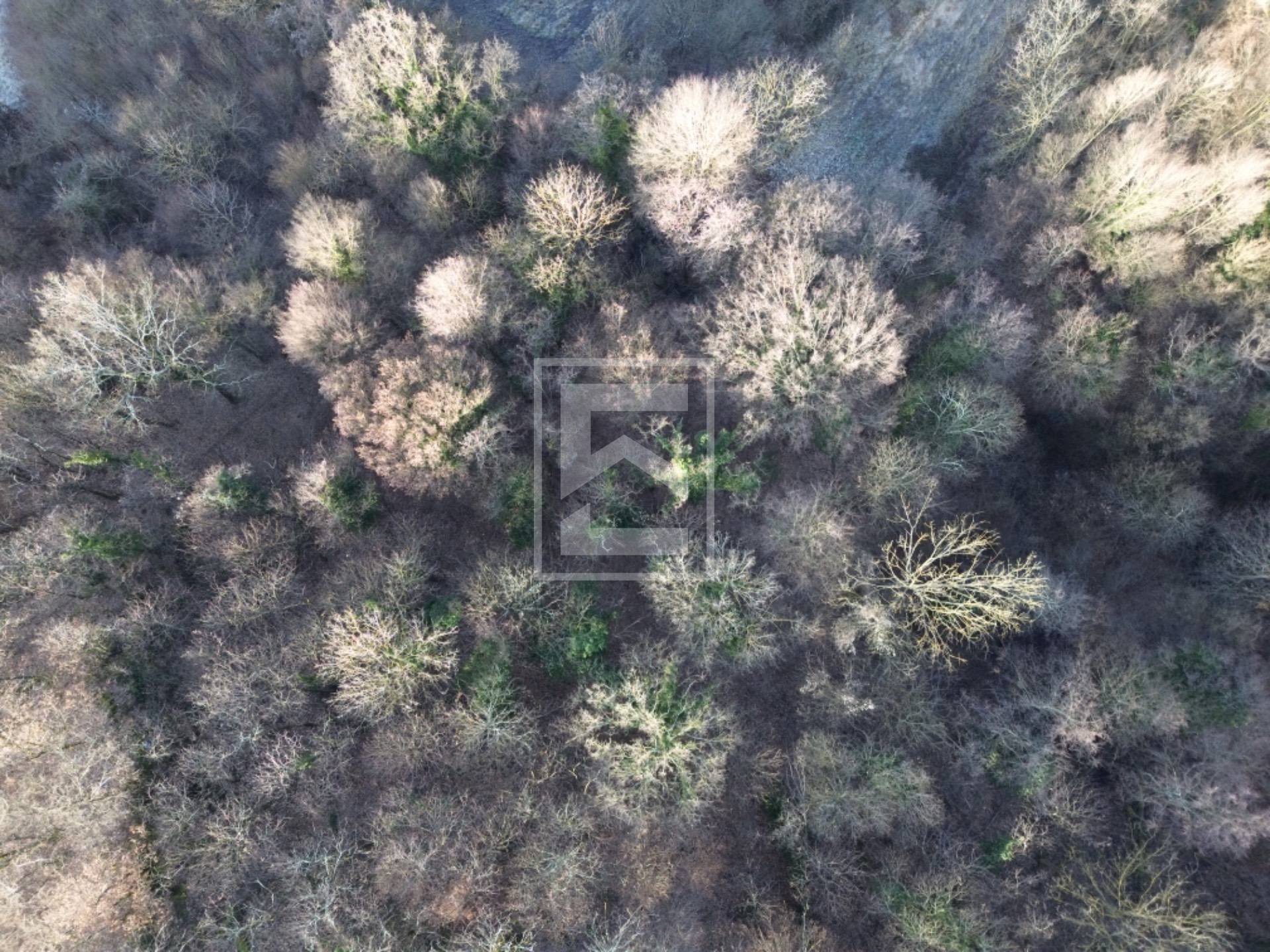 Terreno in vendita a Barghe