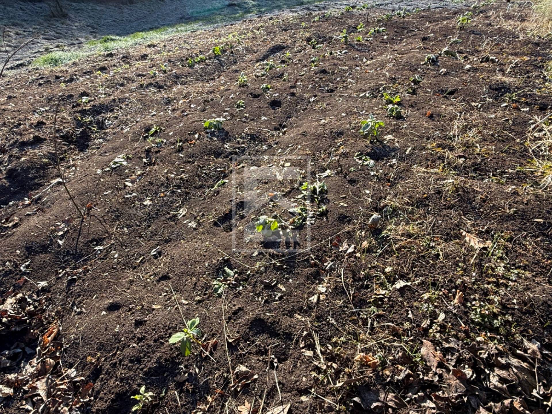 Terreno in vendita a Barghe