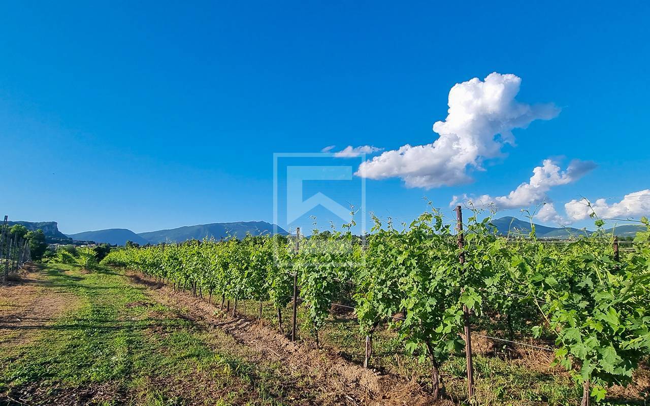 Terreno in vendita a Cavaion Veronese