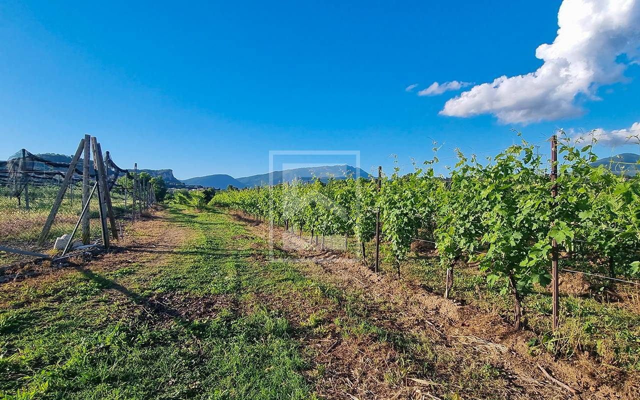 Terreno in vendita a Cavaion Veronese