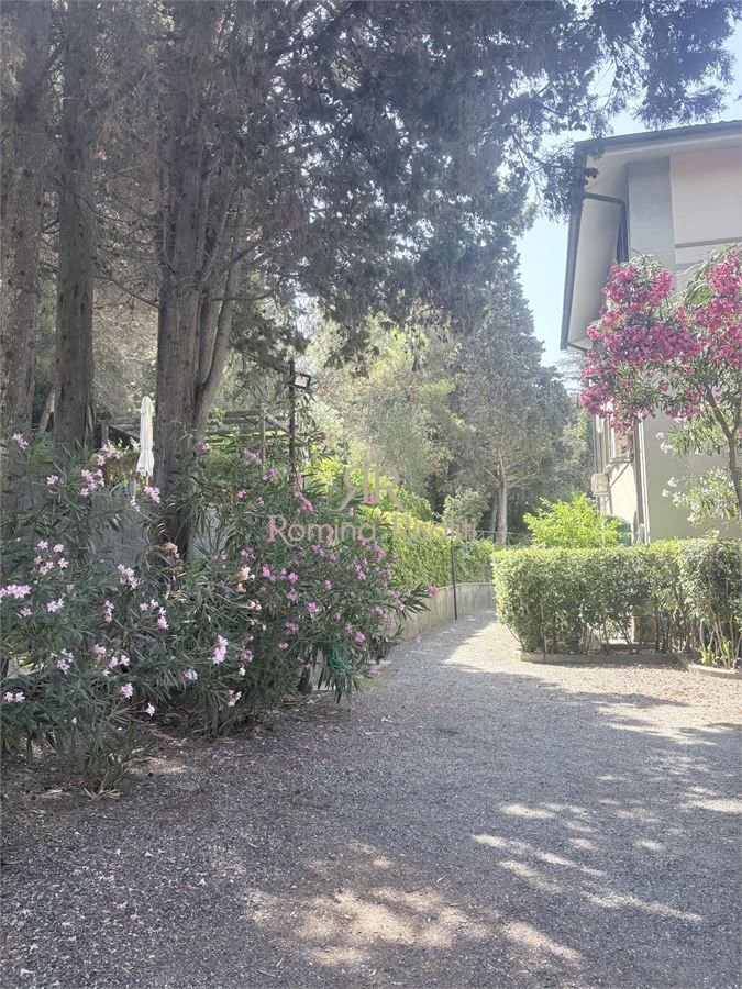 Bilocale in affitto a Rosignano Marittimo