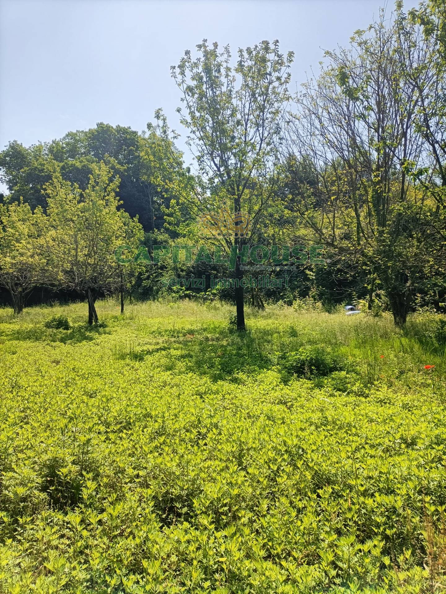 Terreno in vendita a Mercato San Severino